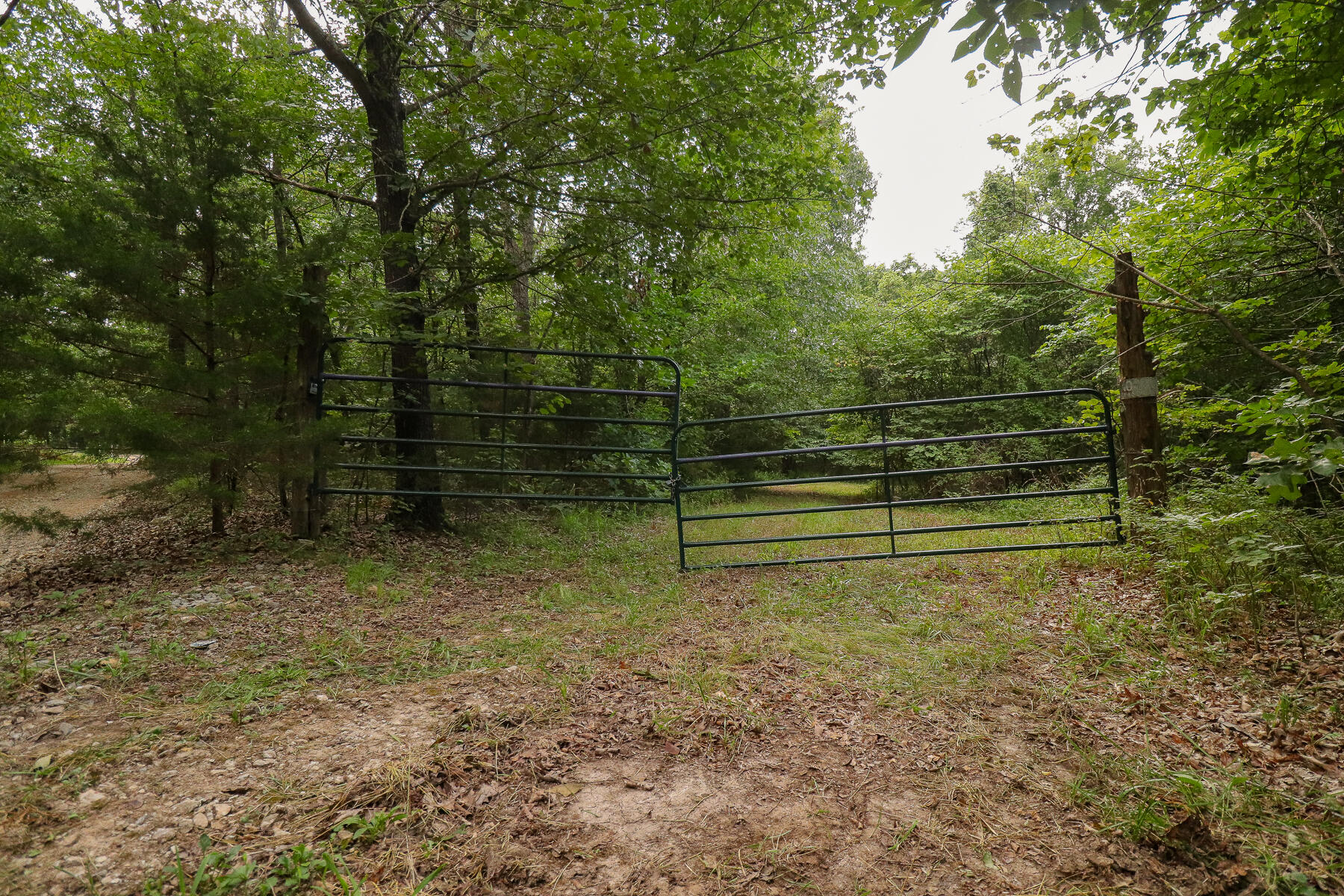 000 County Road 1220 Property Photo 56