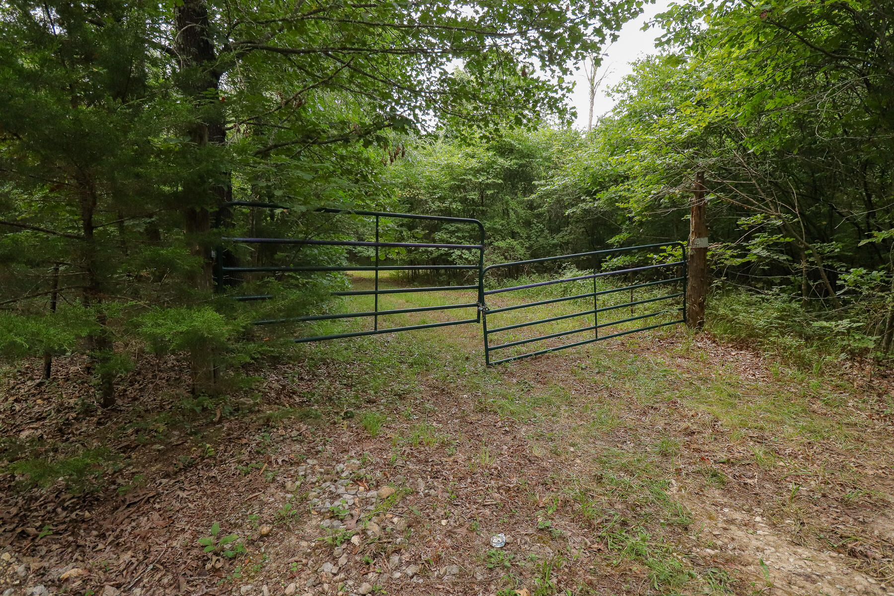 000 County Road 1220 Property Photo 57