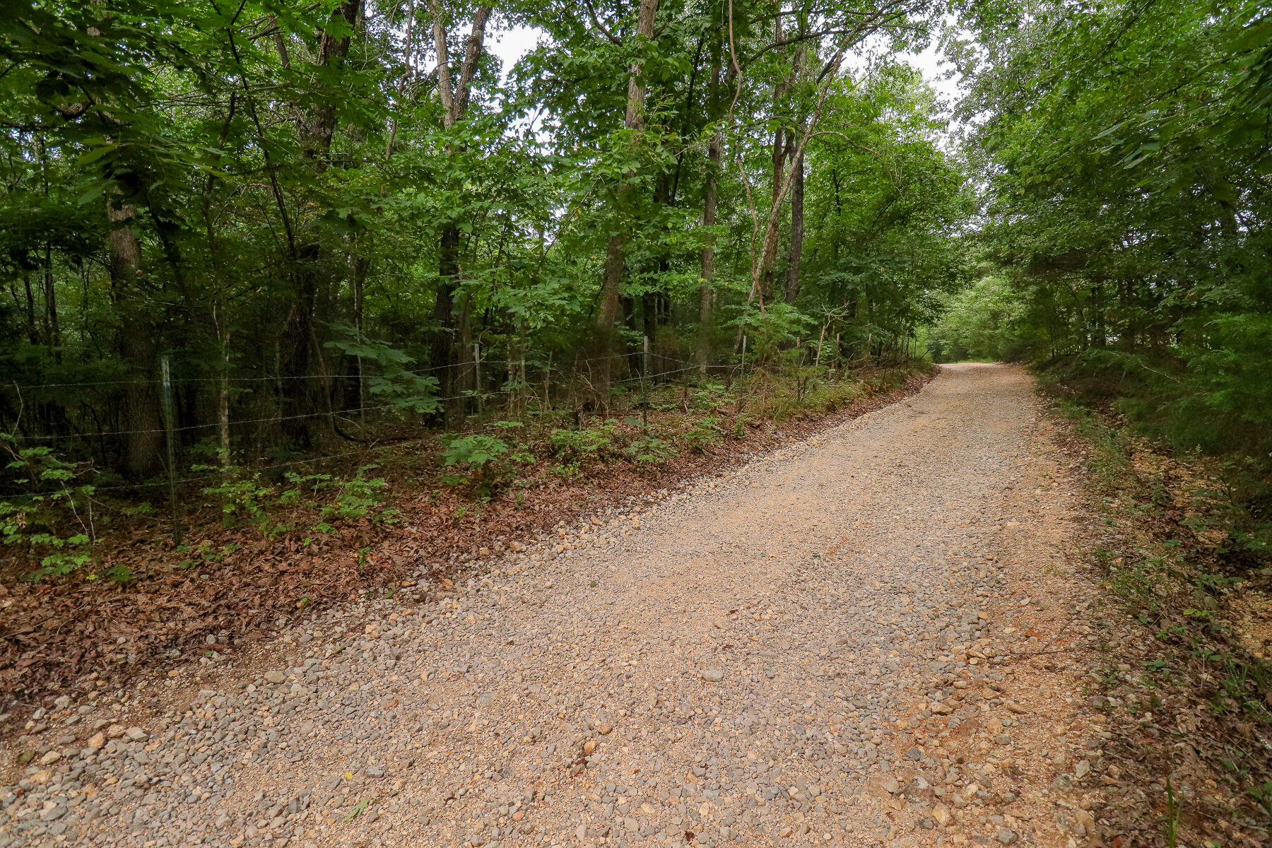 000 County Road 1220 Property Photo 58