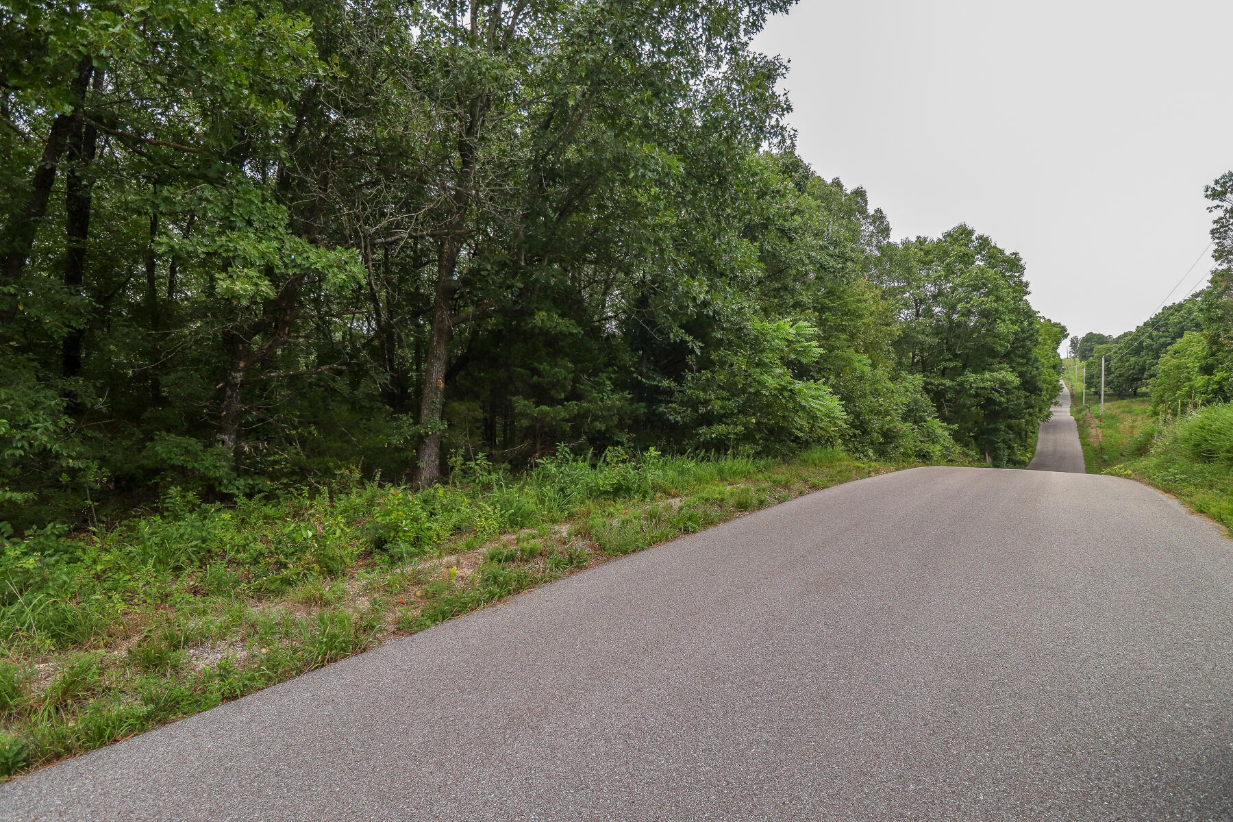 000 County Road 1220 Property Photo 60