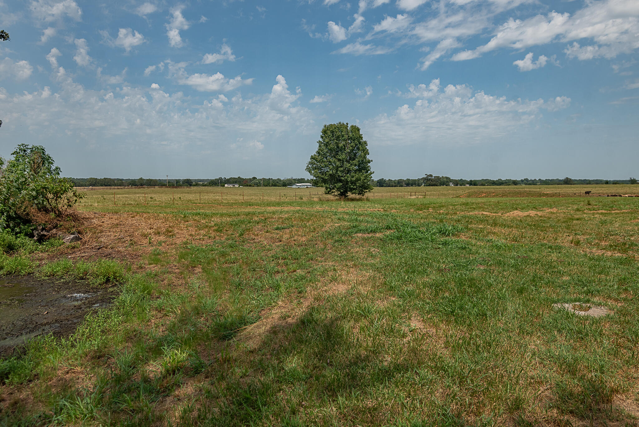 192 Farm Road 1170 Property Photo 27