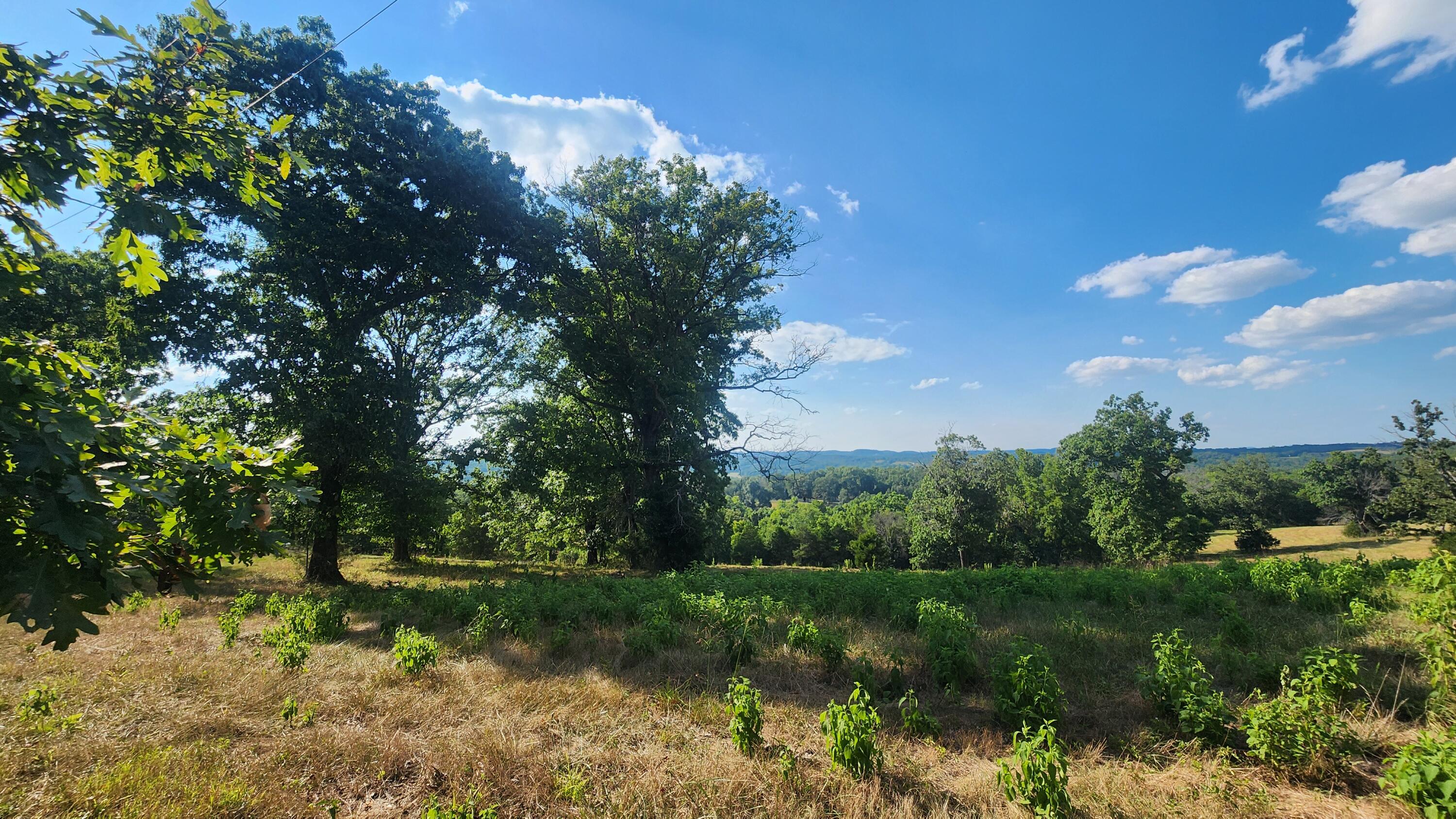 792 Skyline Drive Property Photo 6