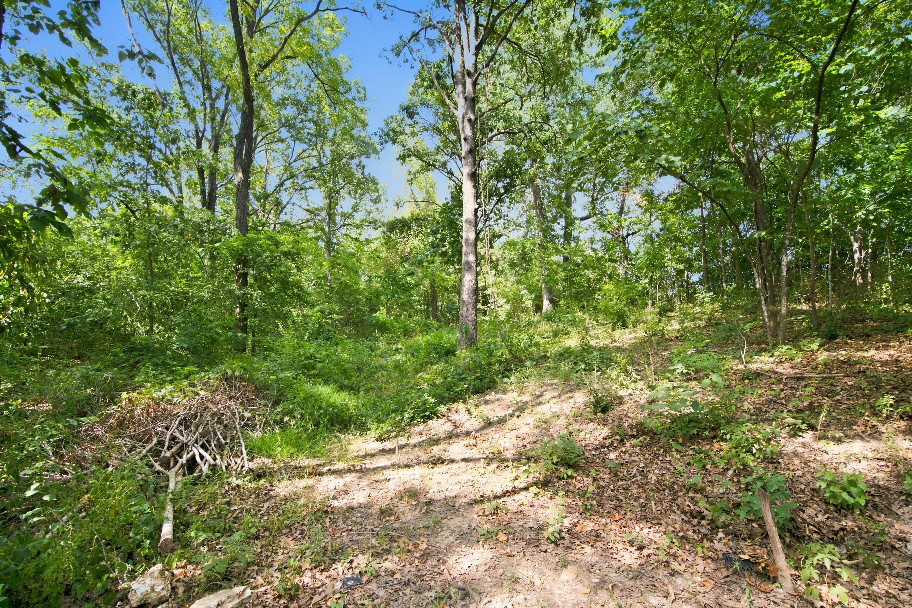 26858 Buckingham Place Property Photo 21