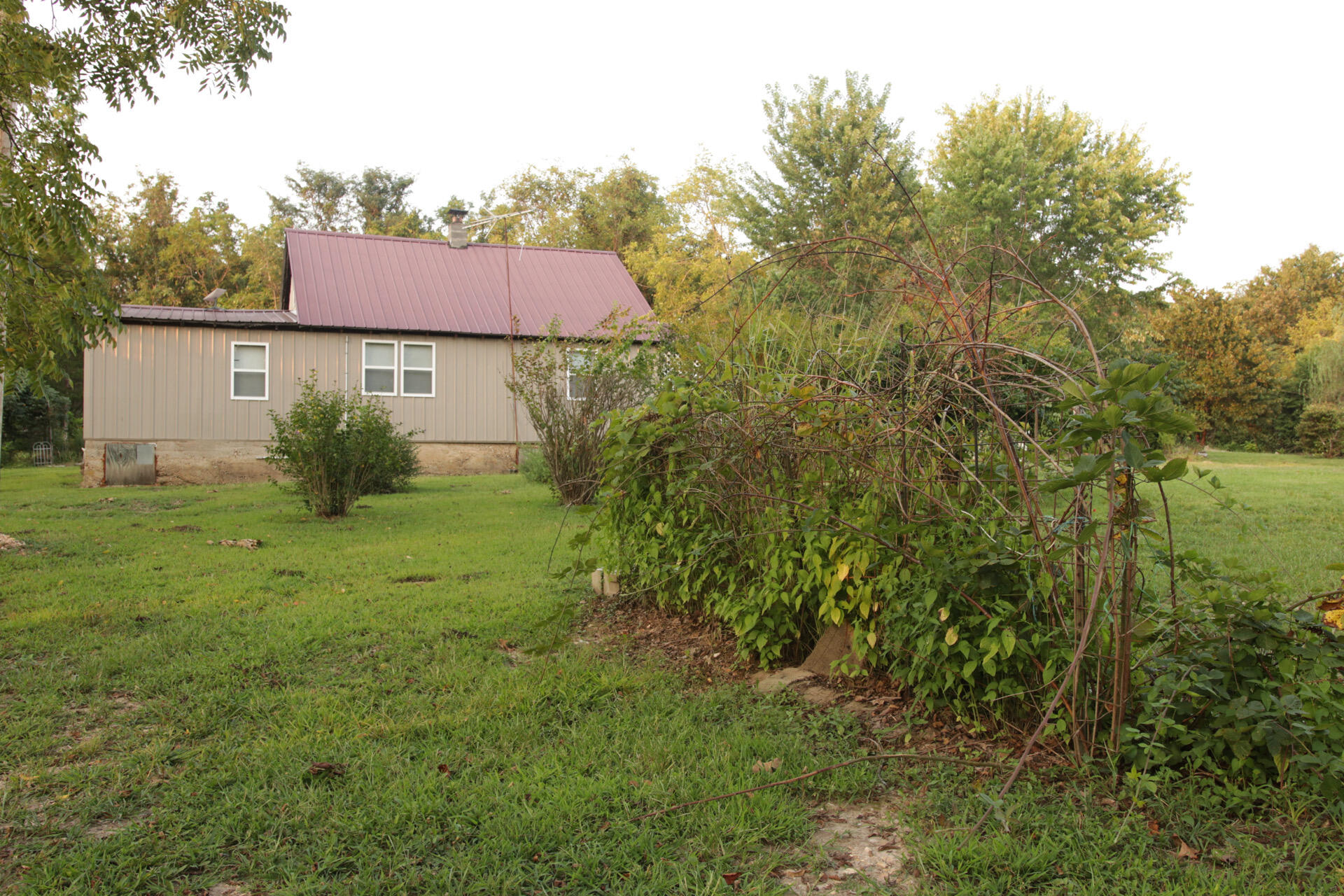 3627 County Road 542 Property Photo 8