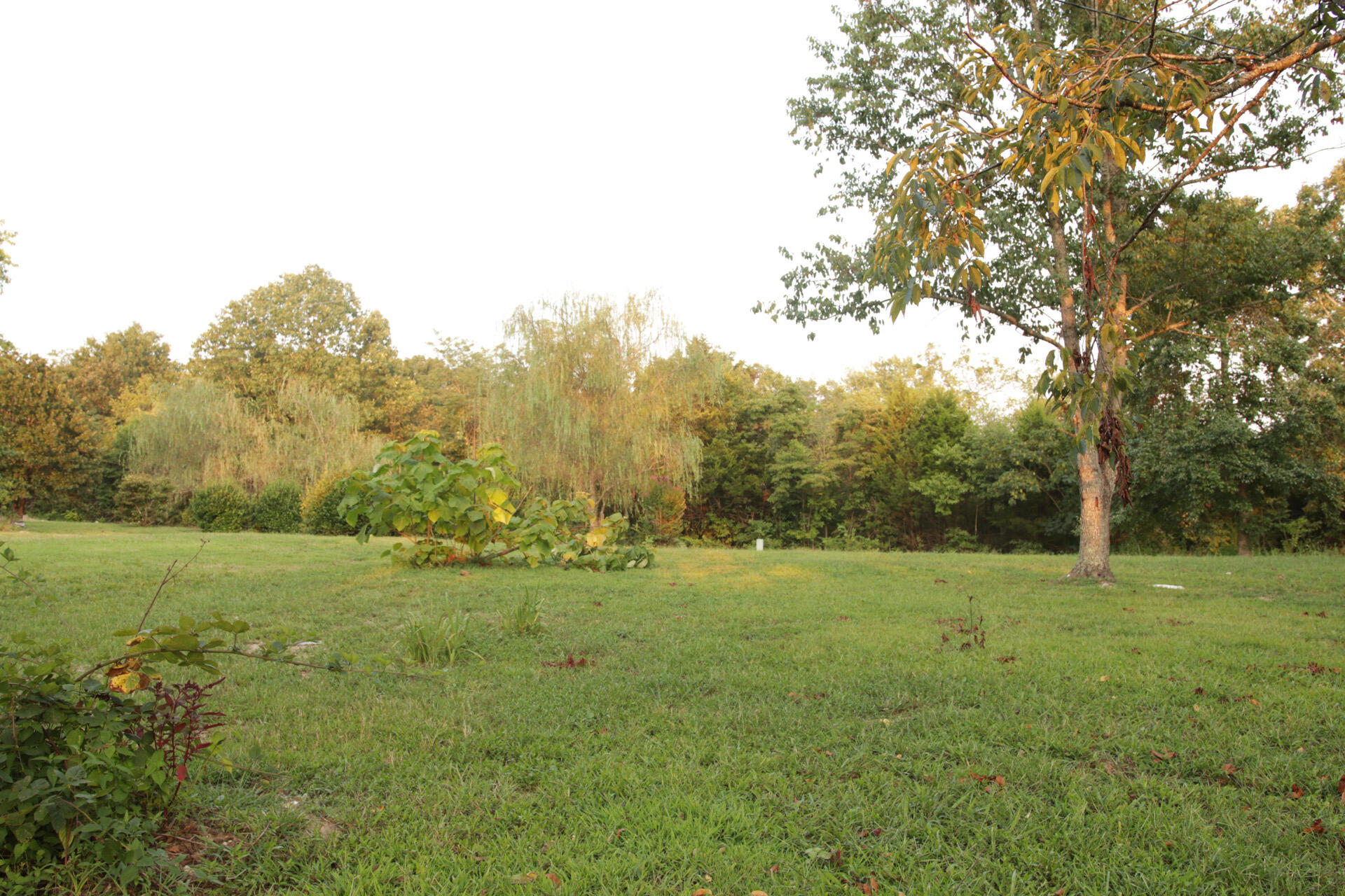 3627 County Road 542 Property Photo 9