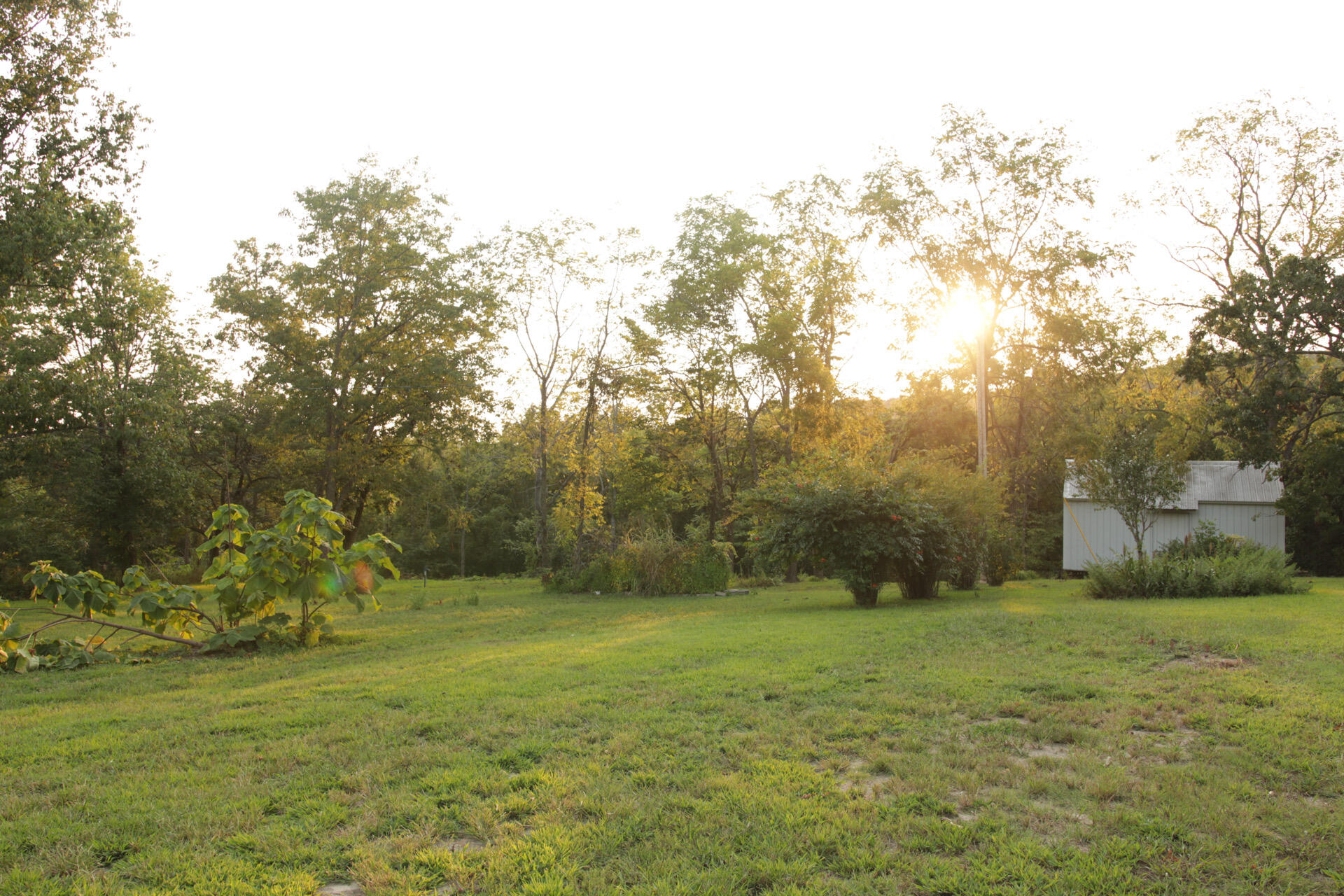 3627 County Road 542 Property Photo 38