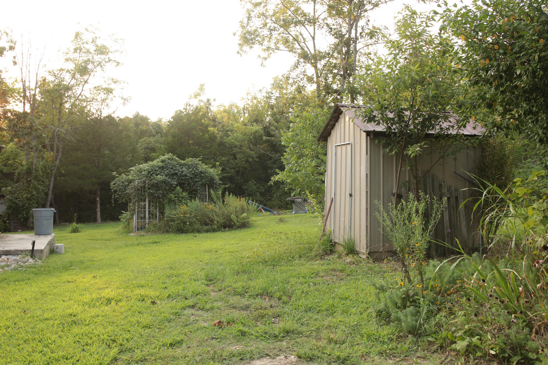 3627 County Road 542 Property Photo 47