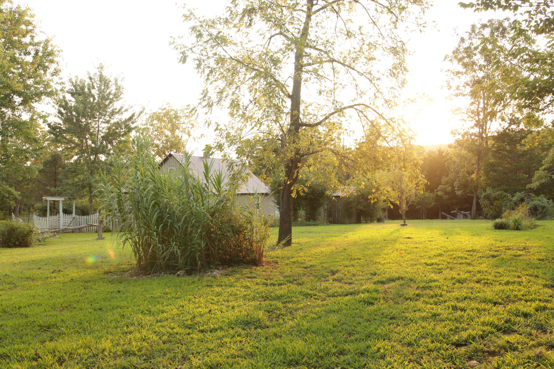 3627 County Road 542 Property Photo 48
