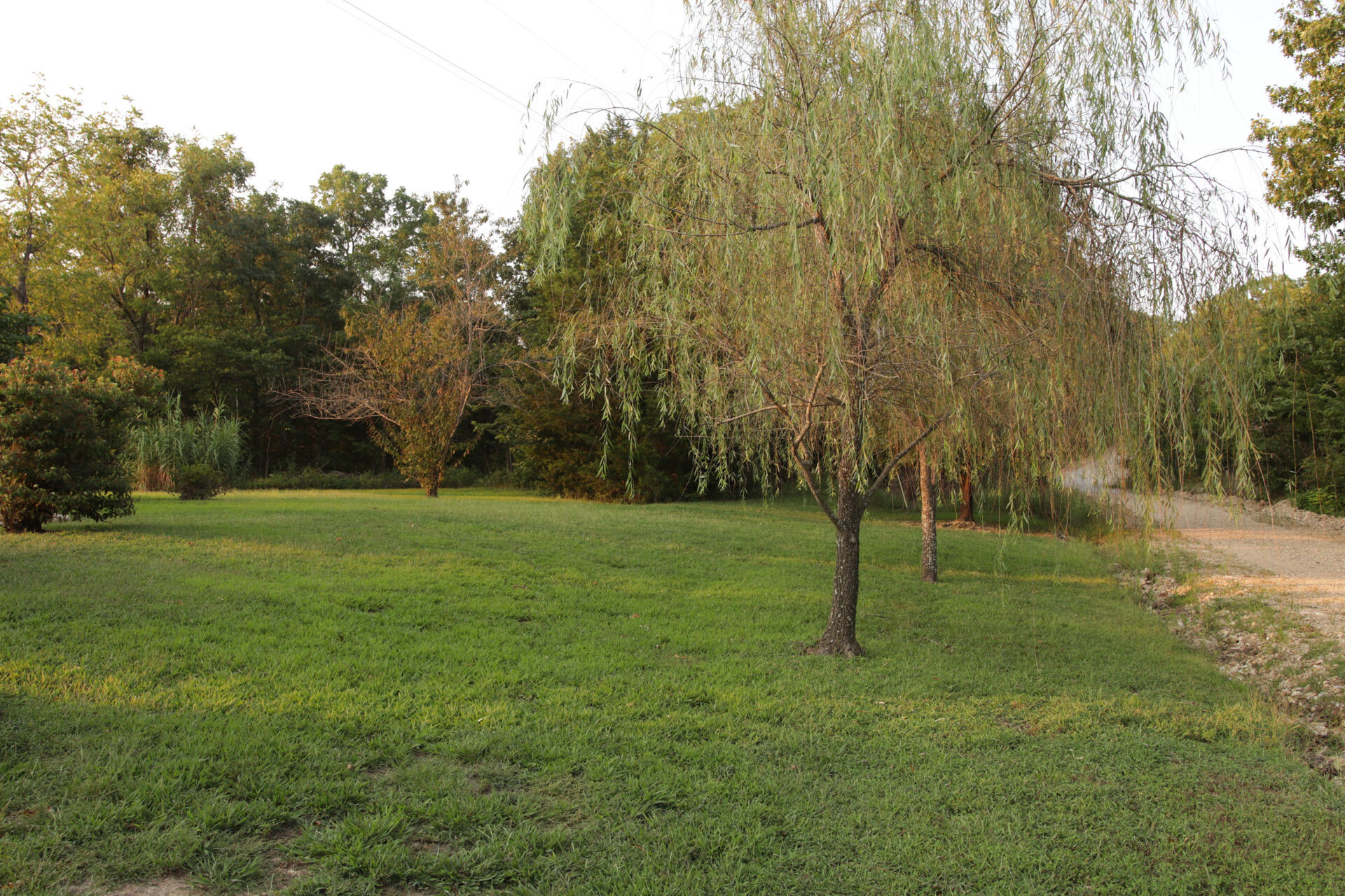 3627 County Road 542 Property Photo 50