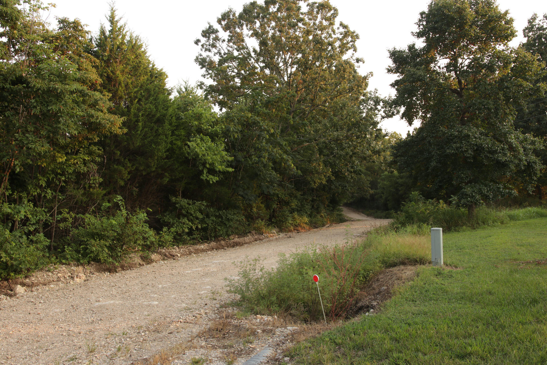 3627 County Road 542 Property Photo 51