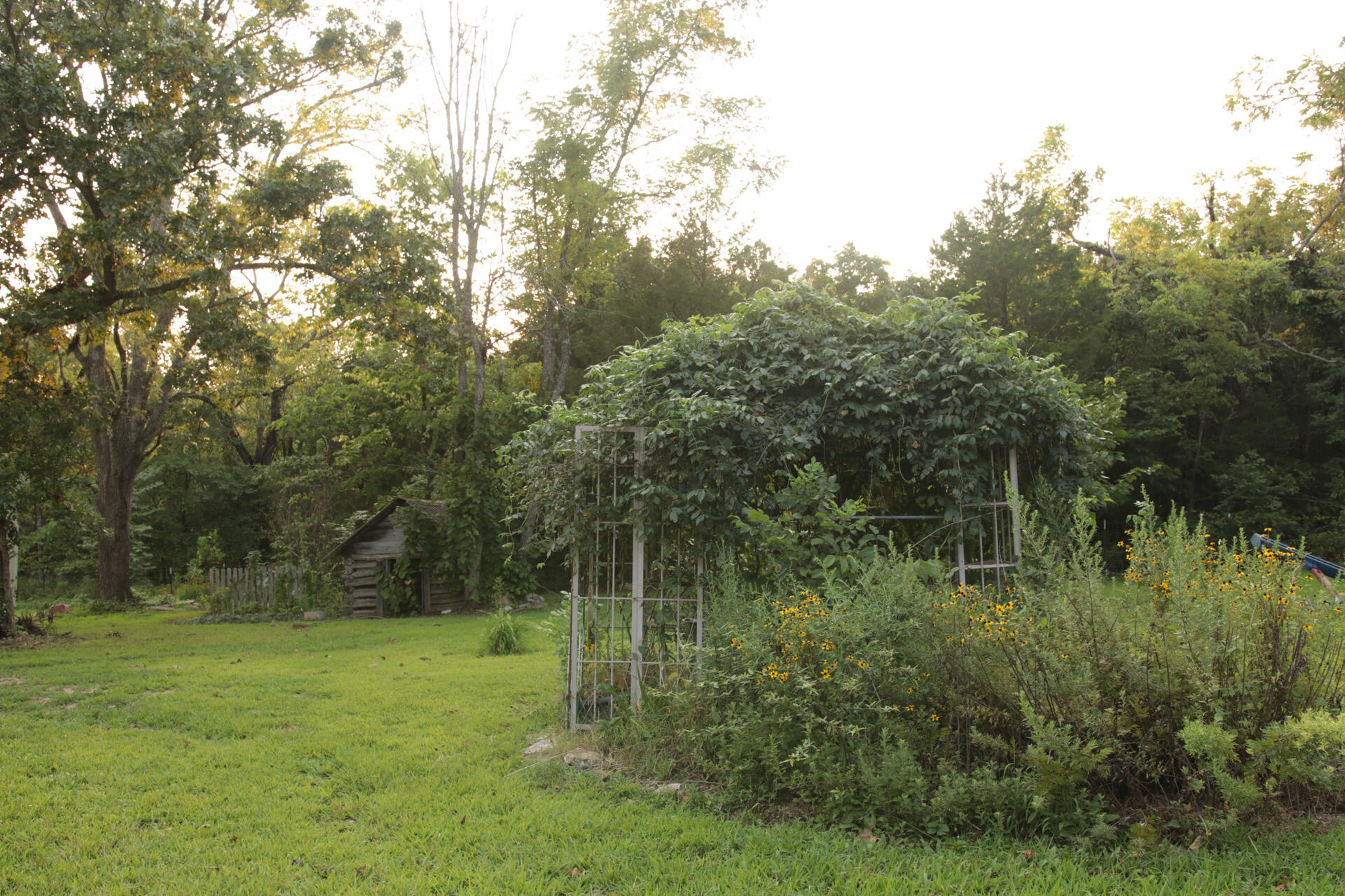 3627 County Road 542 Property Photo 53