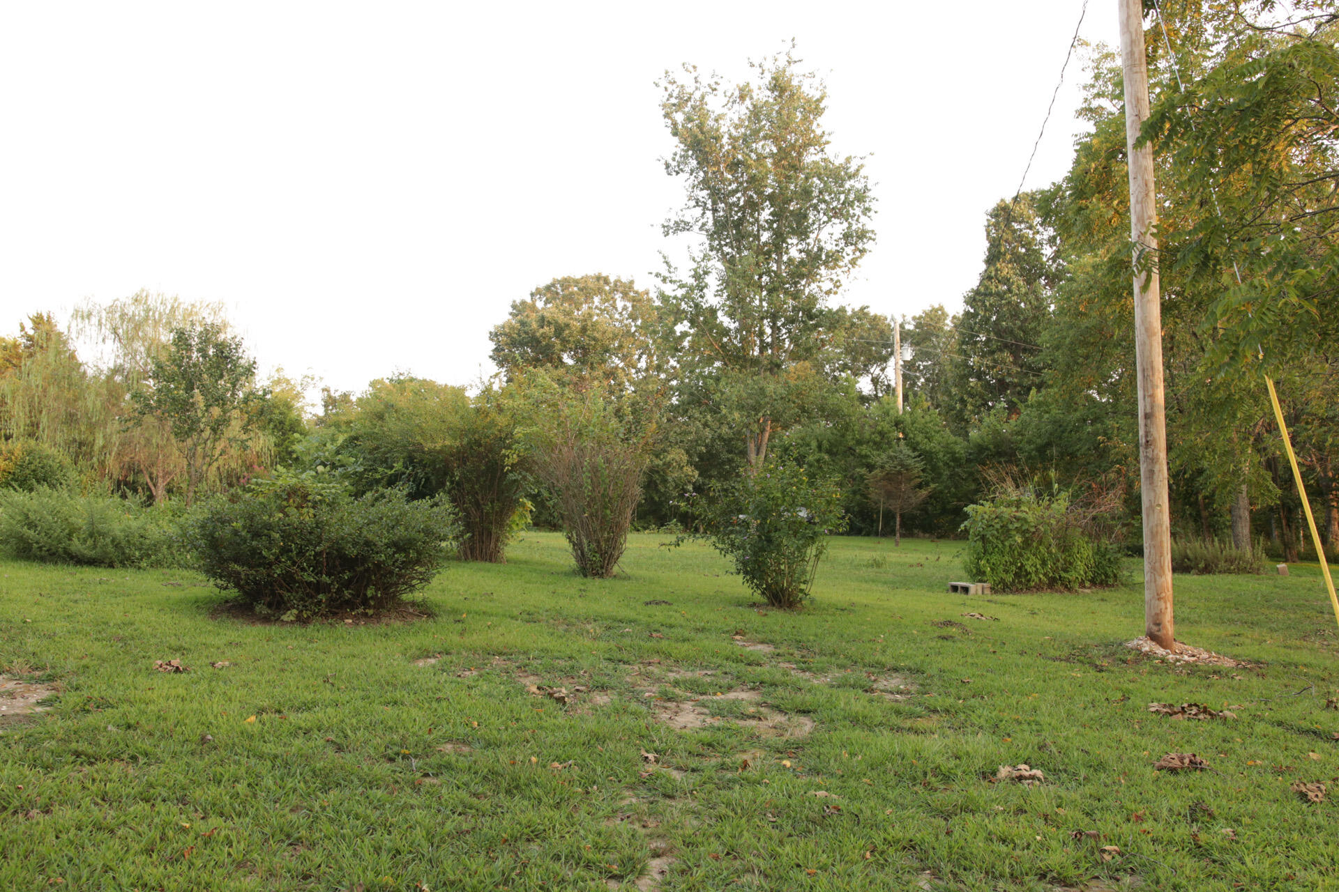 3627 County Road 542 Property Photo 55