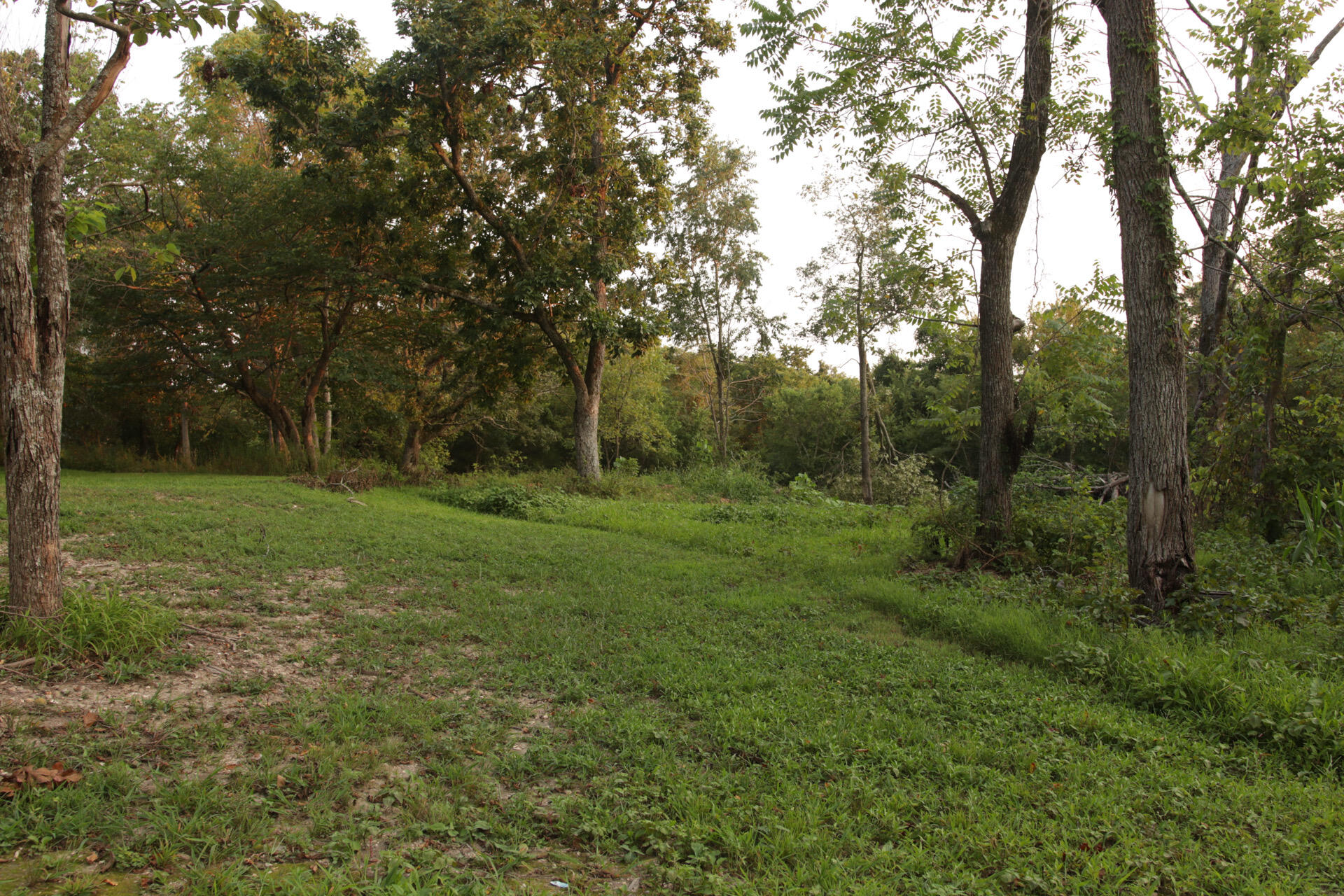 3627 County Road 542 Property Photo 57