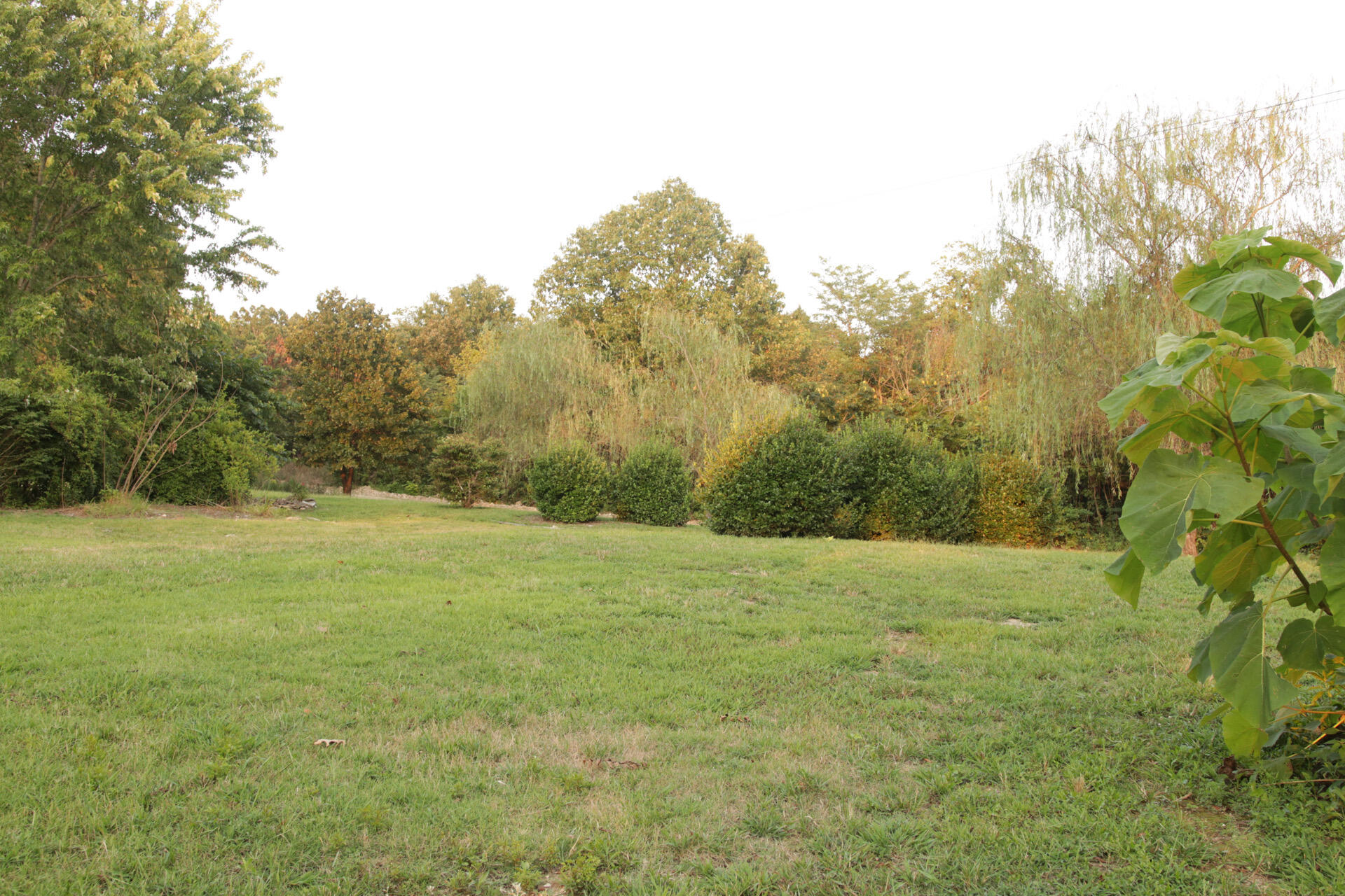 3627 County Road 542 Property Photo 58