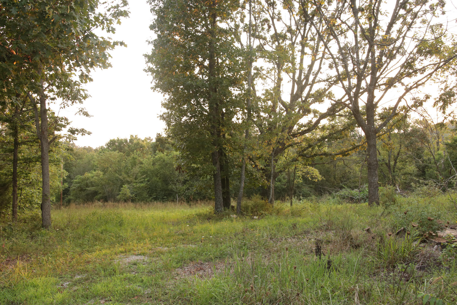 3627 County Road 542 Property Photo 59
