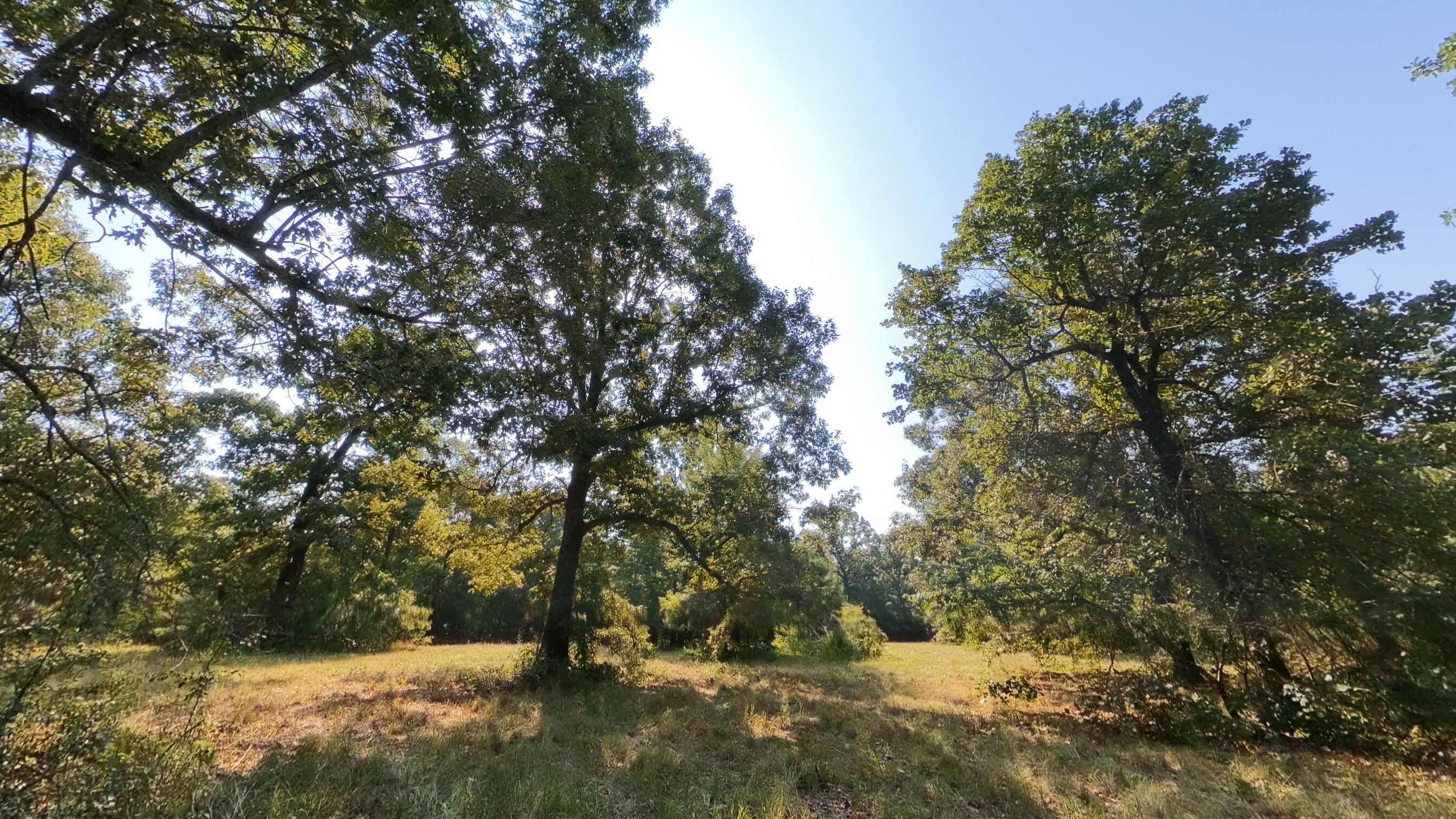 000 Highway 62/412 Property Photo 7