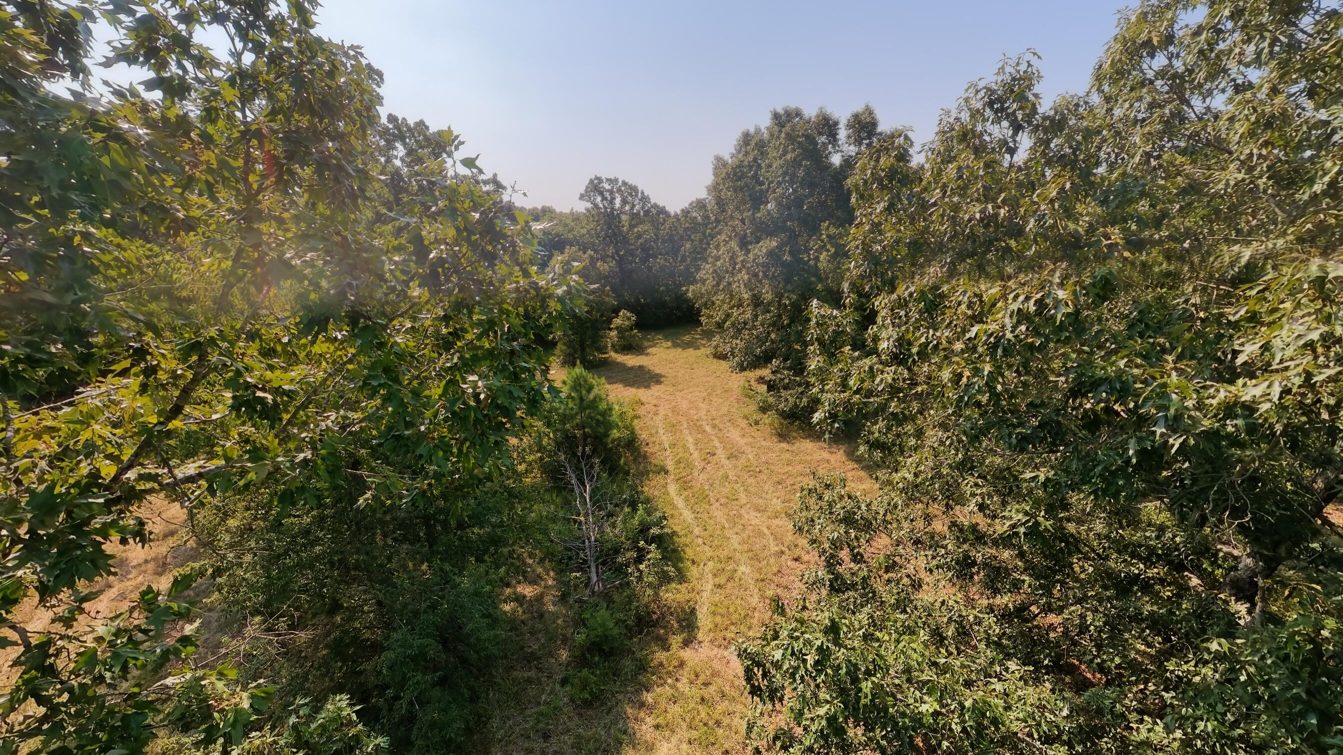 000 Highway 62/412 Property Photo 11