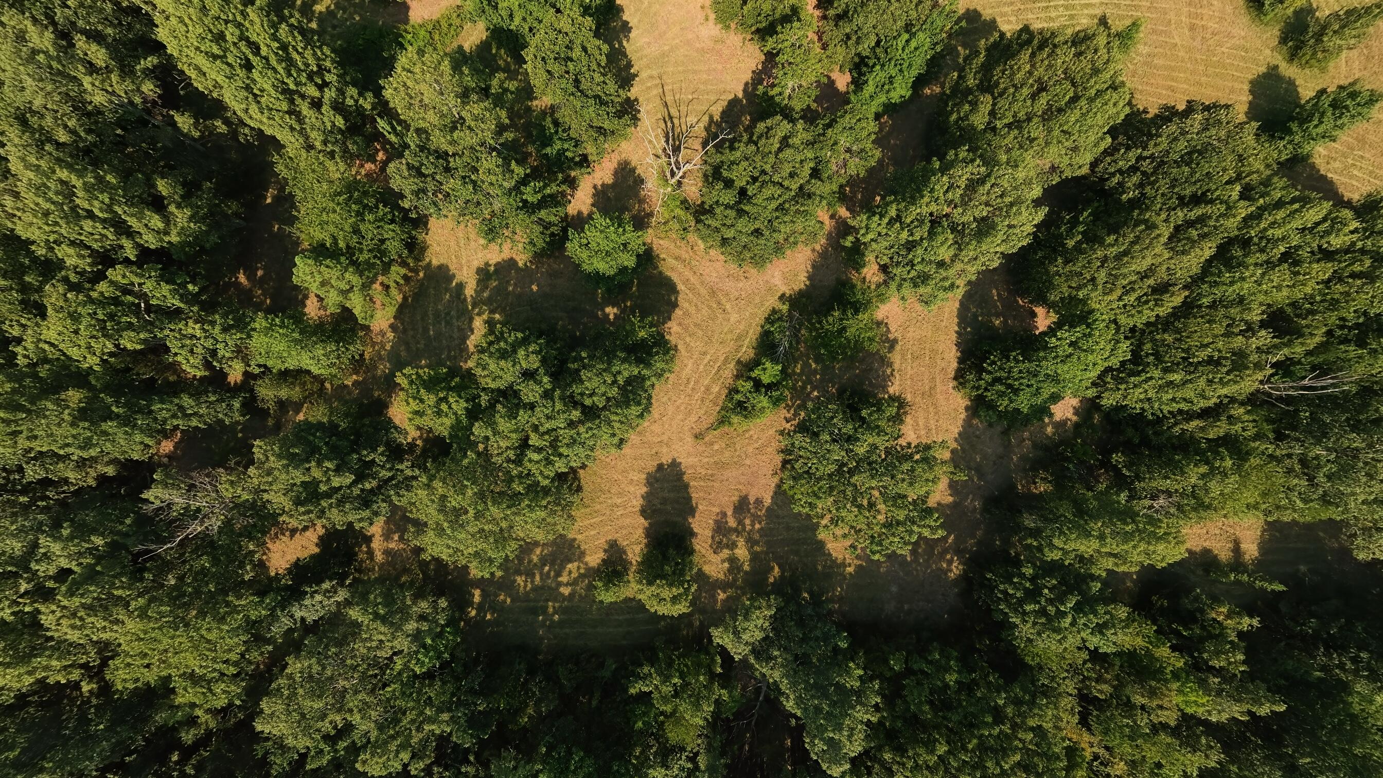 000 Highway 62/412 Property Photo 14