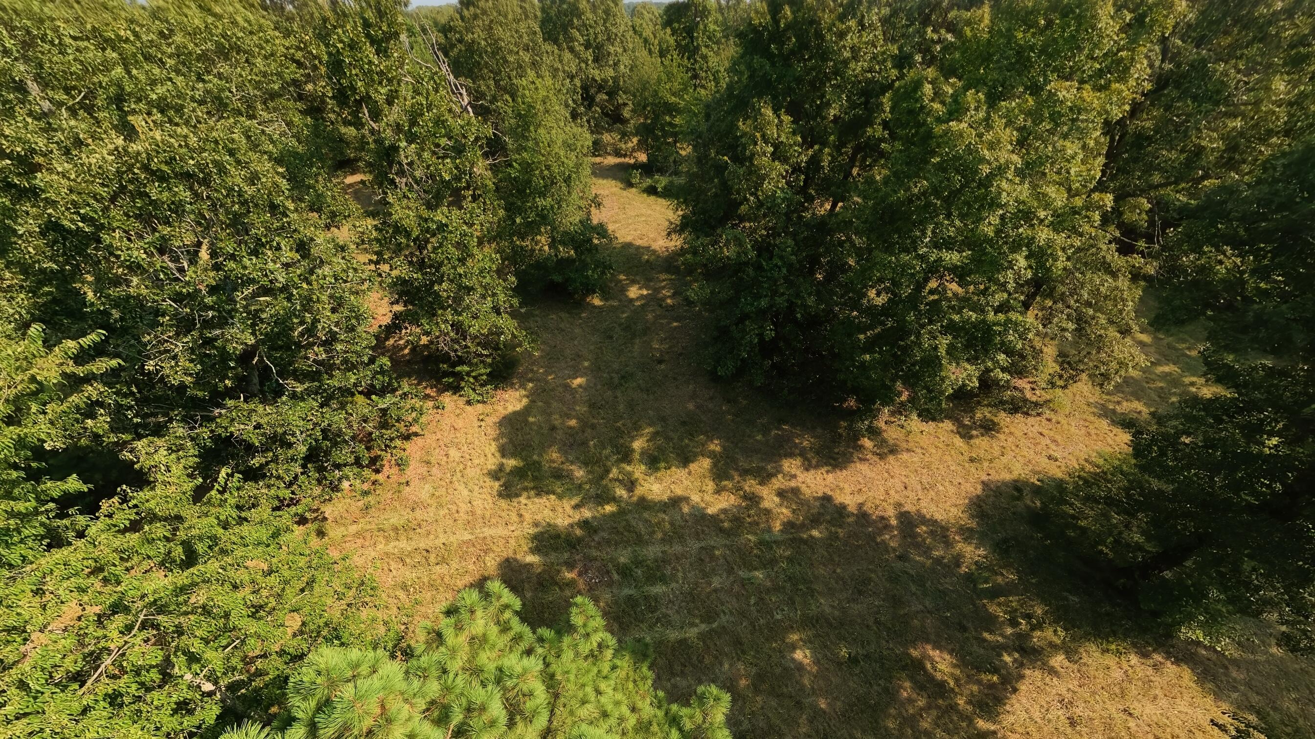 000 Highway 62/412 Property Photo 16