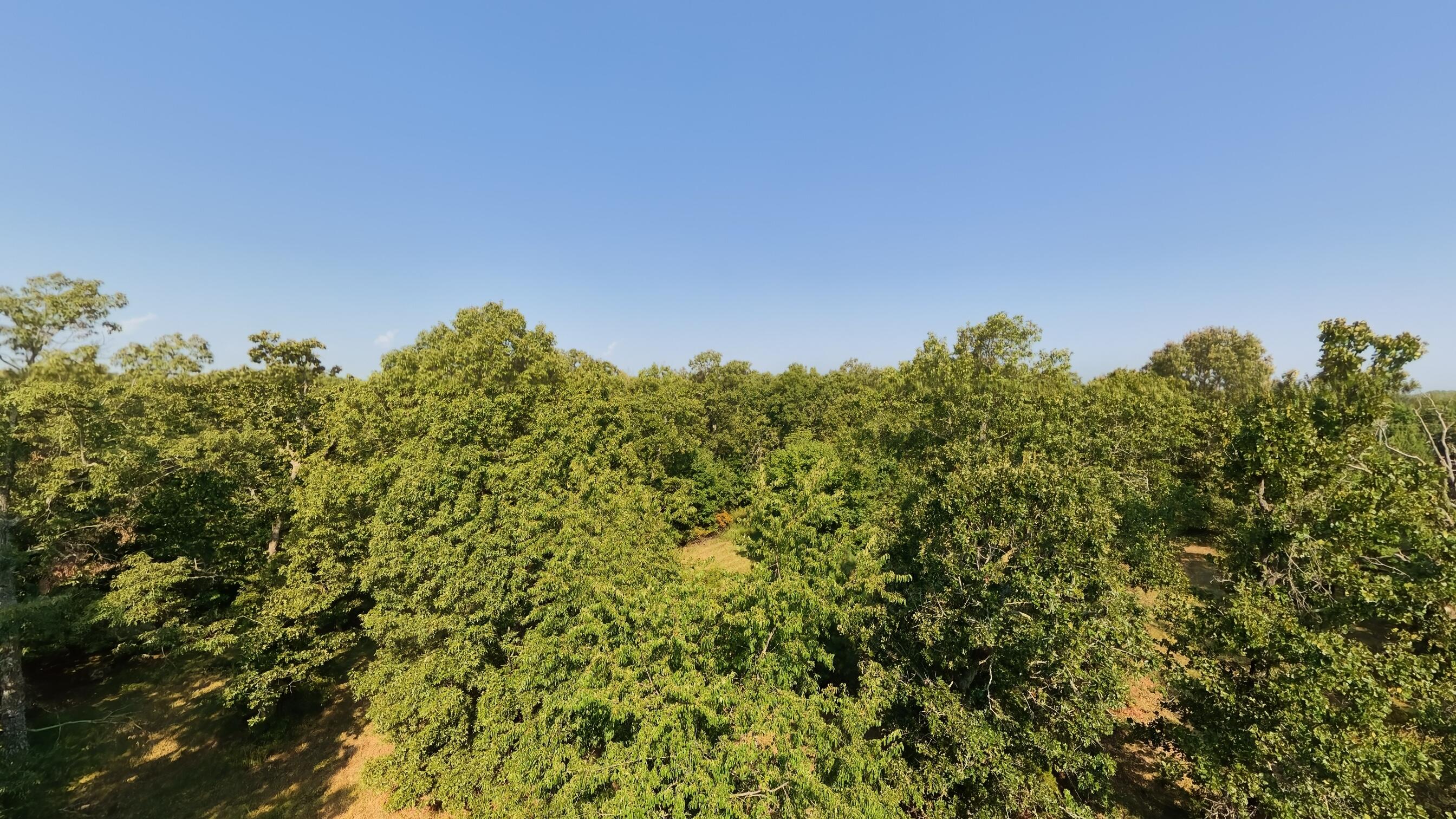 000 Highway 62/412 Property Photo 17