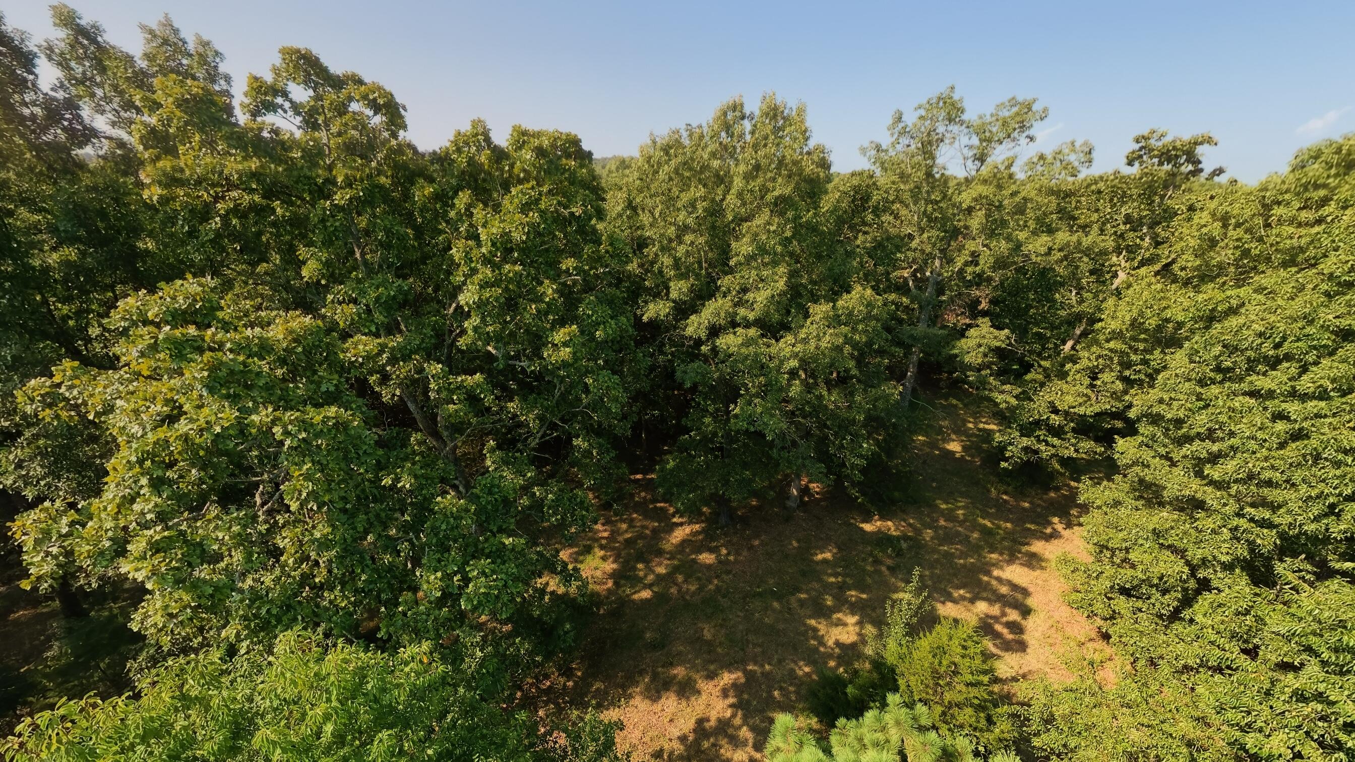 000 Highway 62/412 Property Photo 18