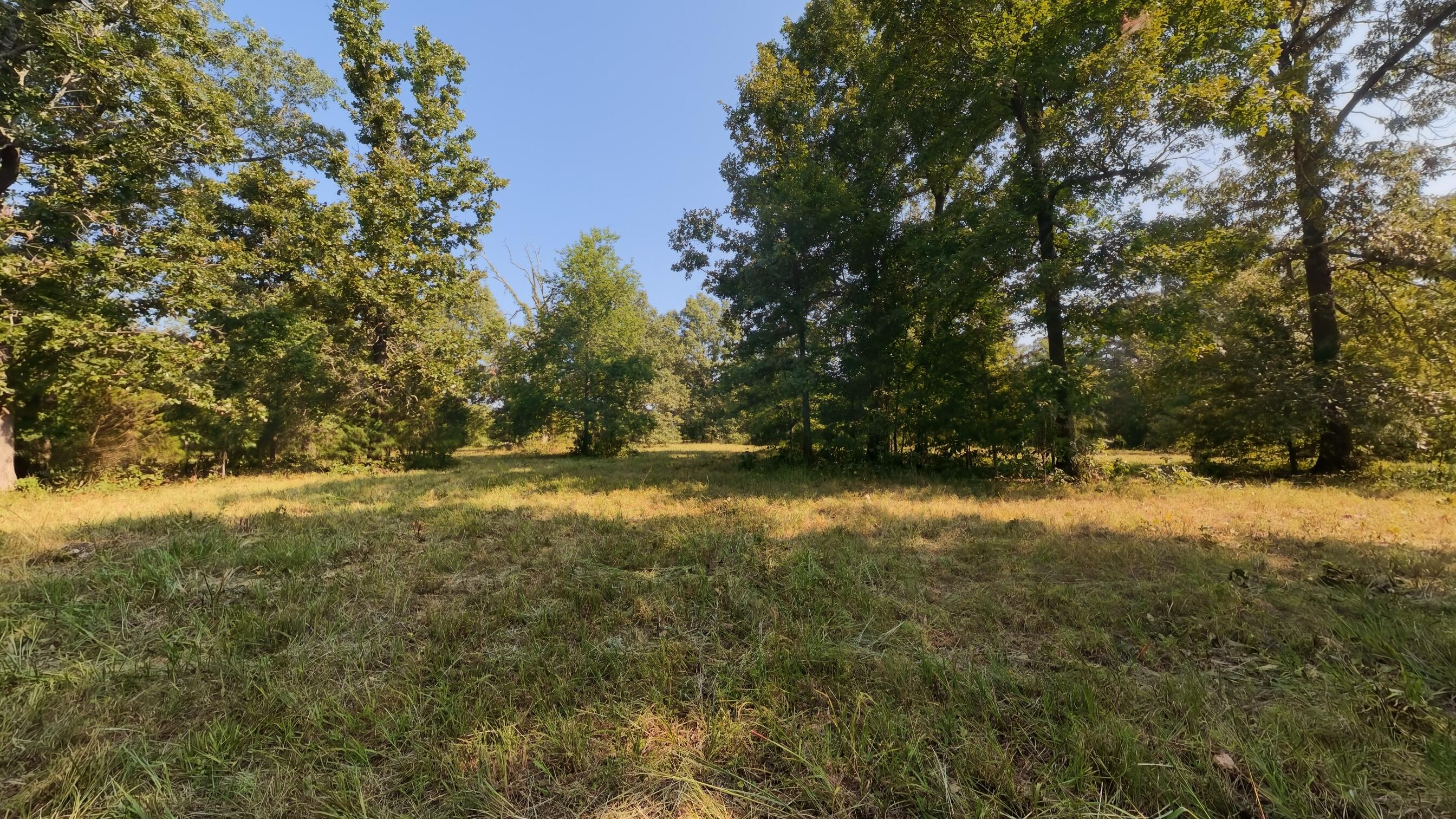 000 Highway 62/412 Property Photo 19