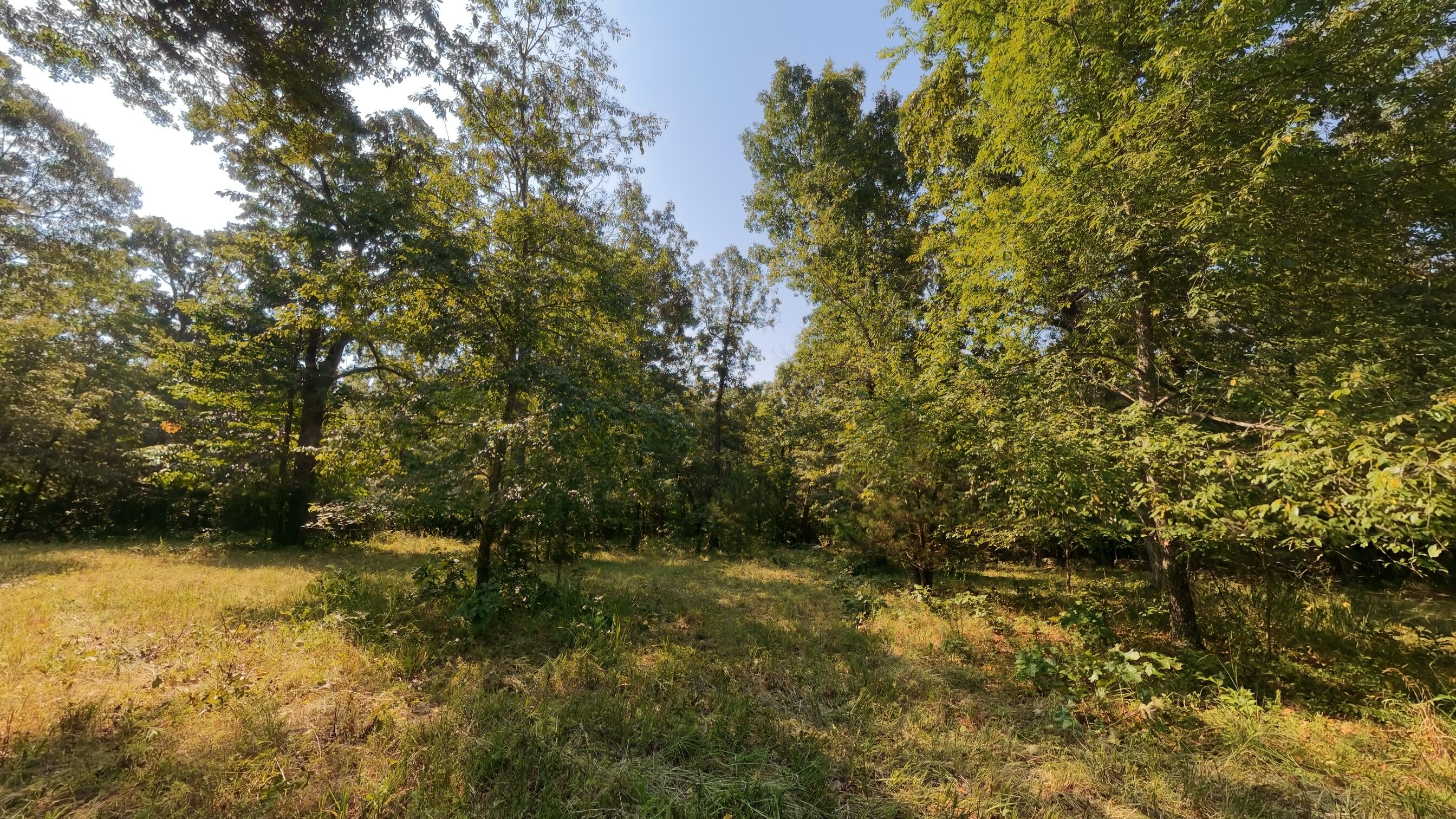 000 Highway 62/412 Property Photo 21