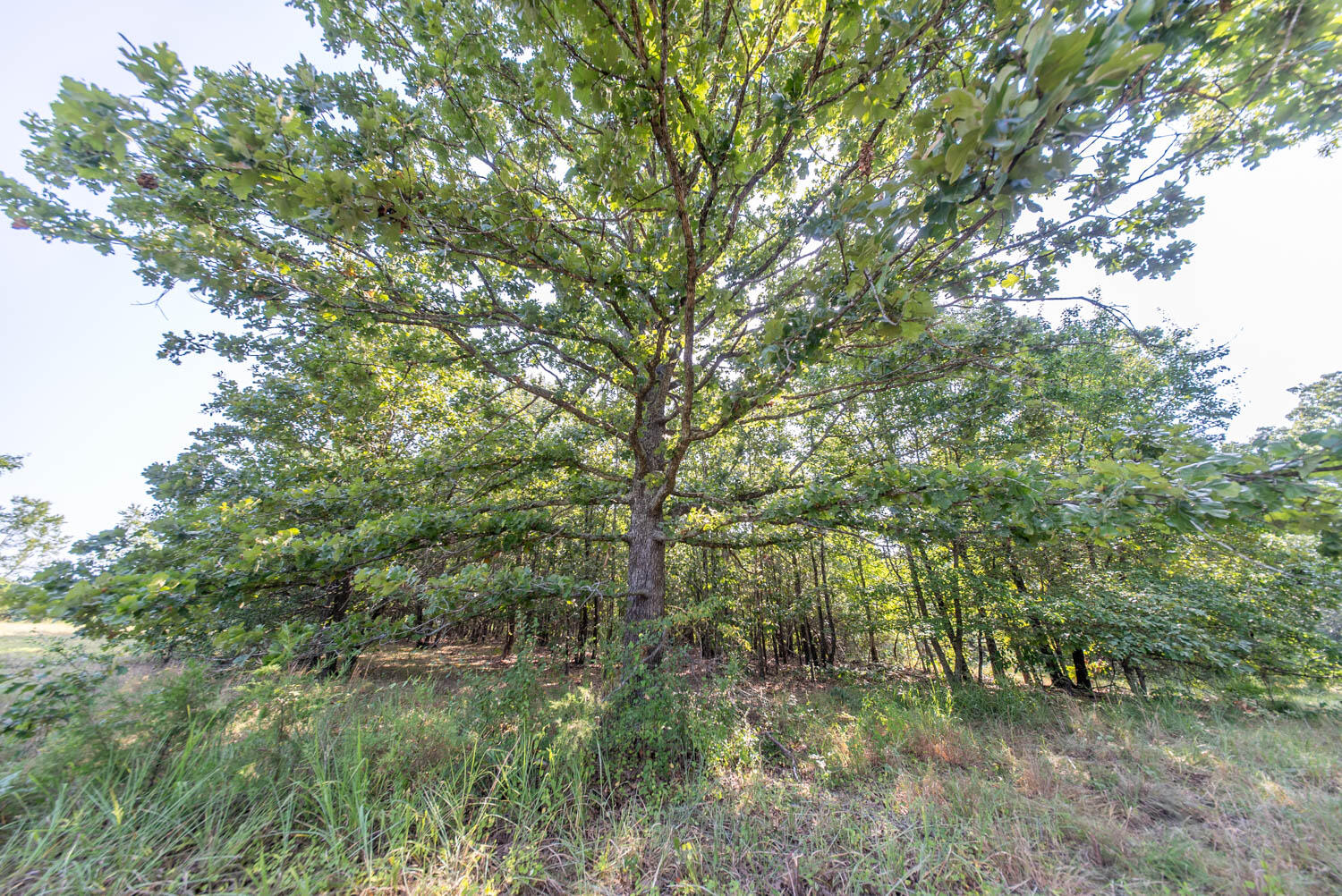 000 Highway 62/412 Property Photo 23