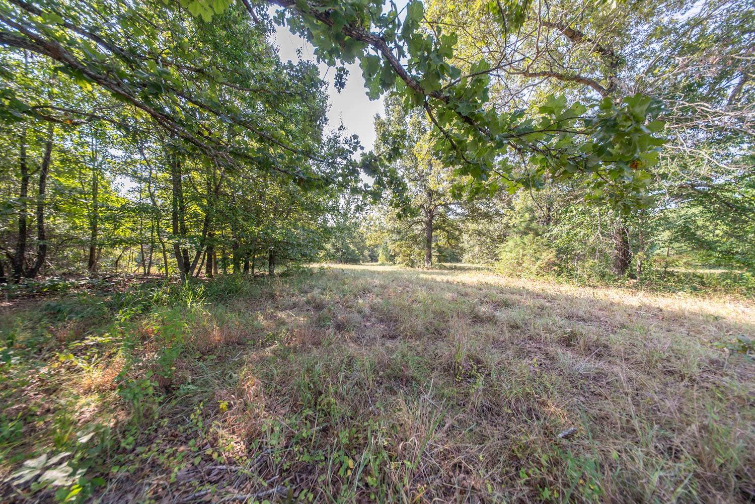 000 Highway 62/412 Property Photo 25
