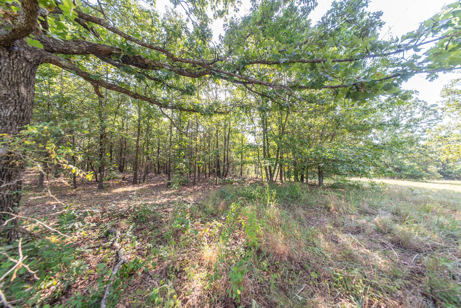 000 Highway 62/412 Property Photo 26