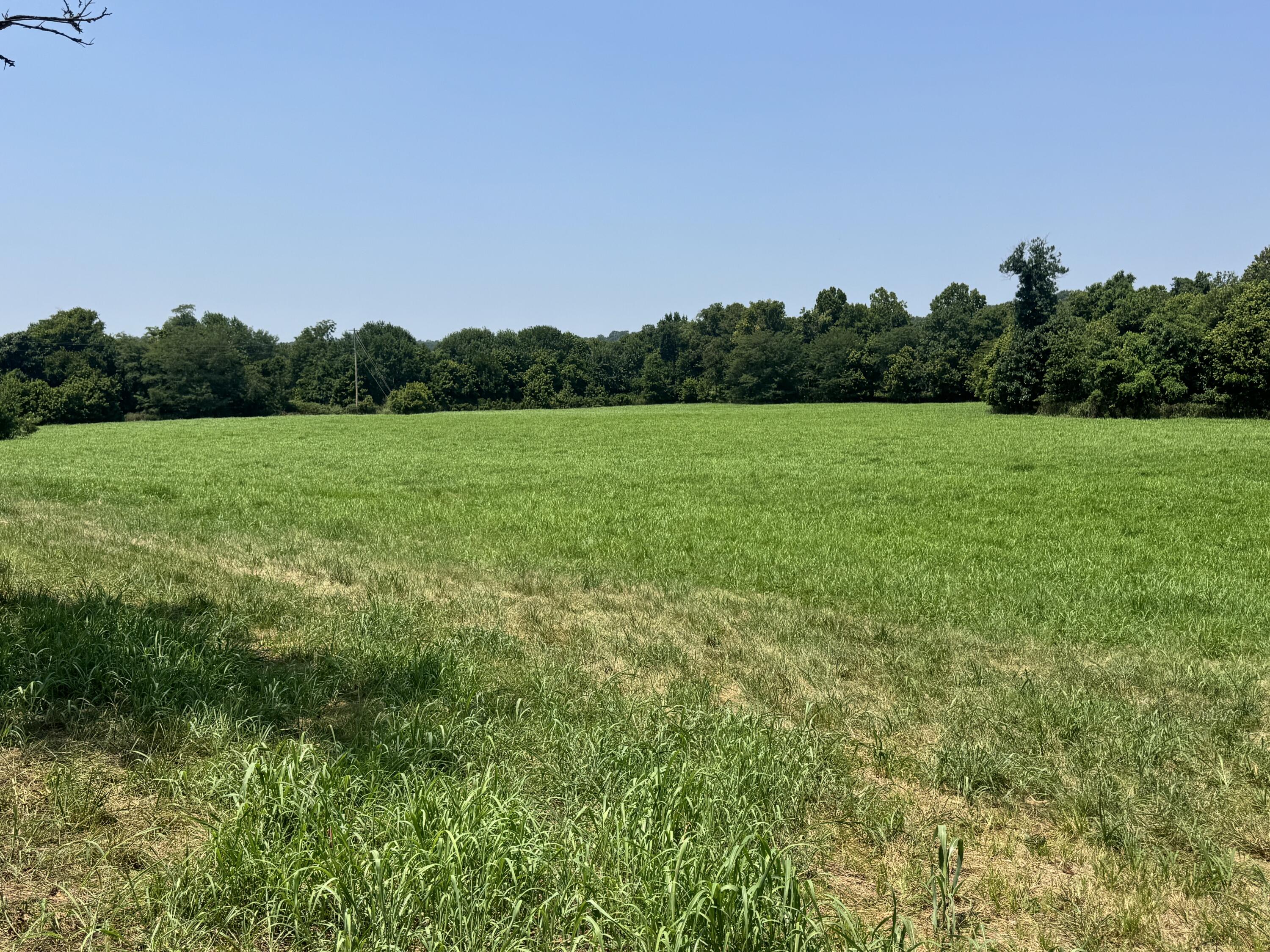 000 Gracie Lane Property Photo 1
