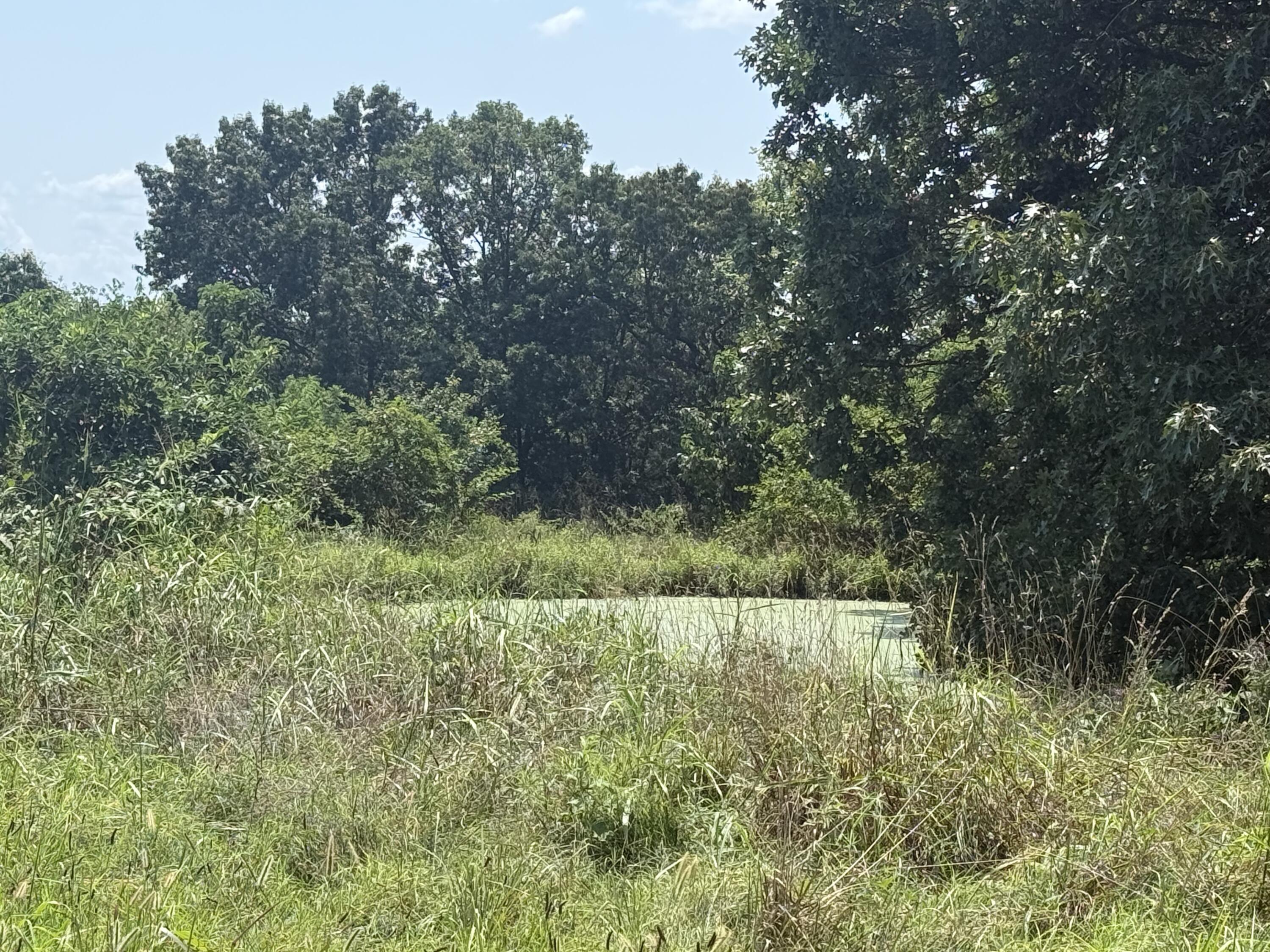 4109 State Highway 90 Property Photo 25
