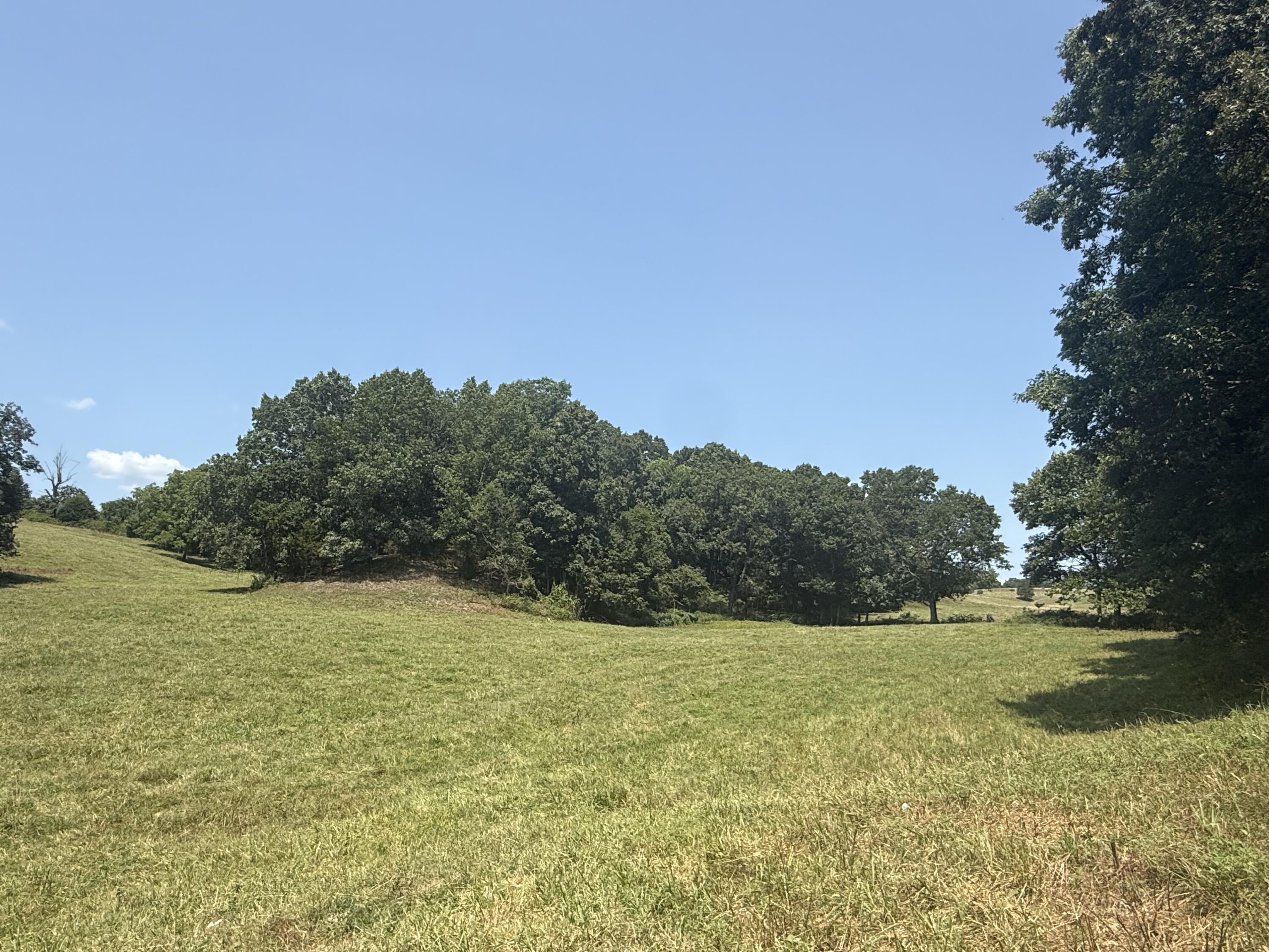 4109 State Highway 90 Property Photo 26