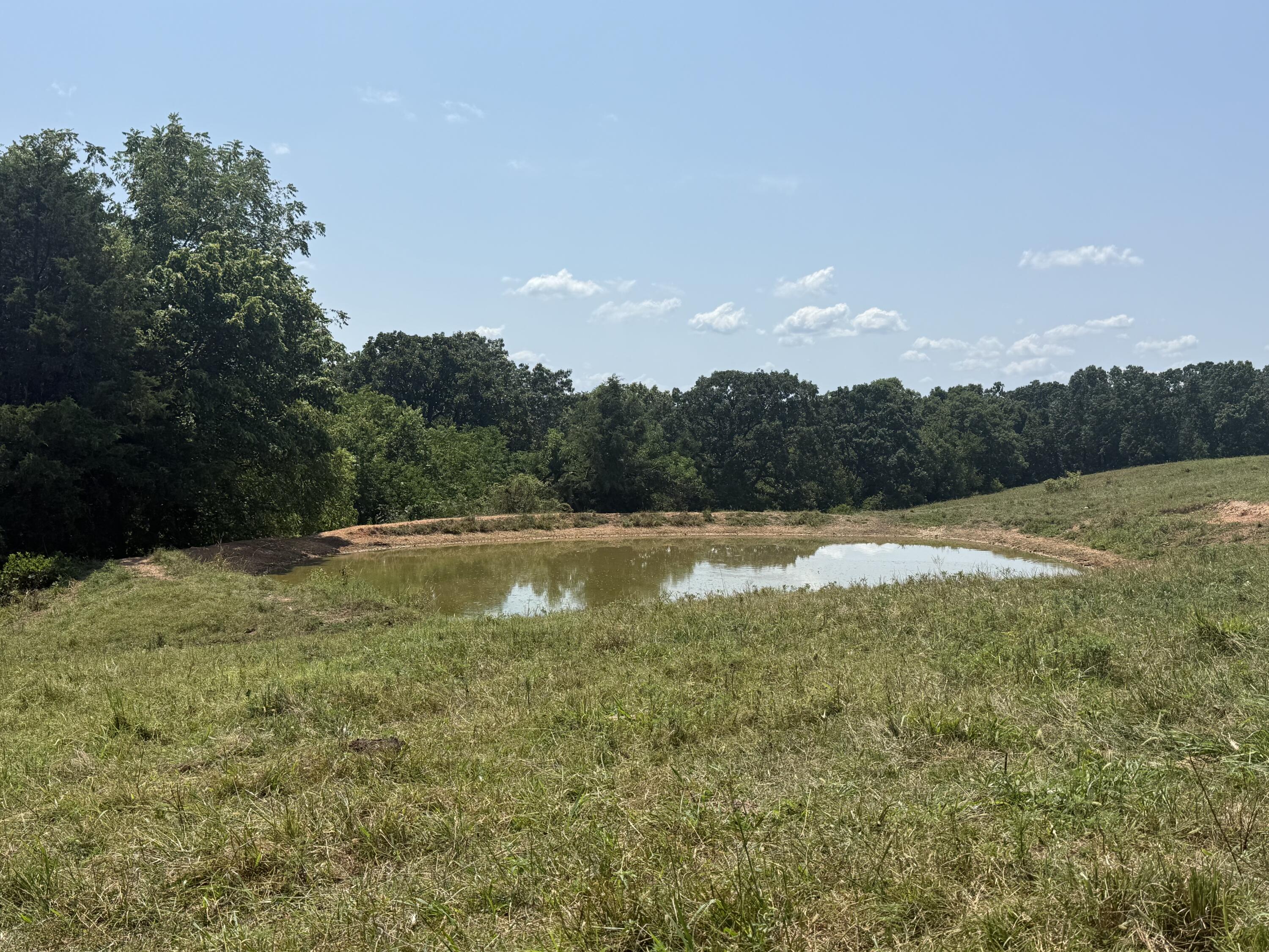 4109 State Highway 90 Property Photo 28
