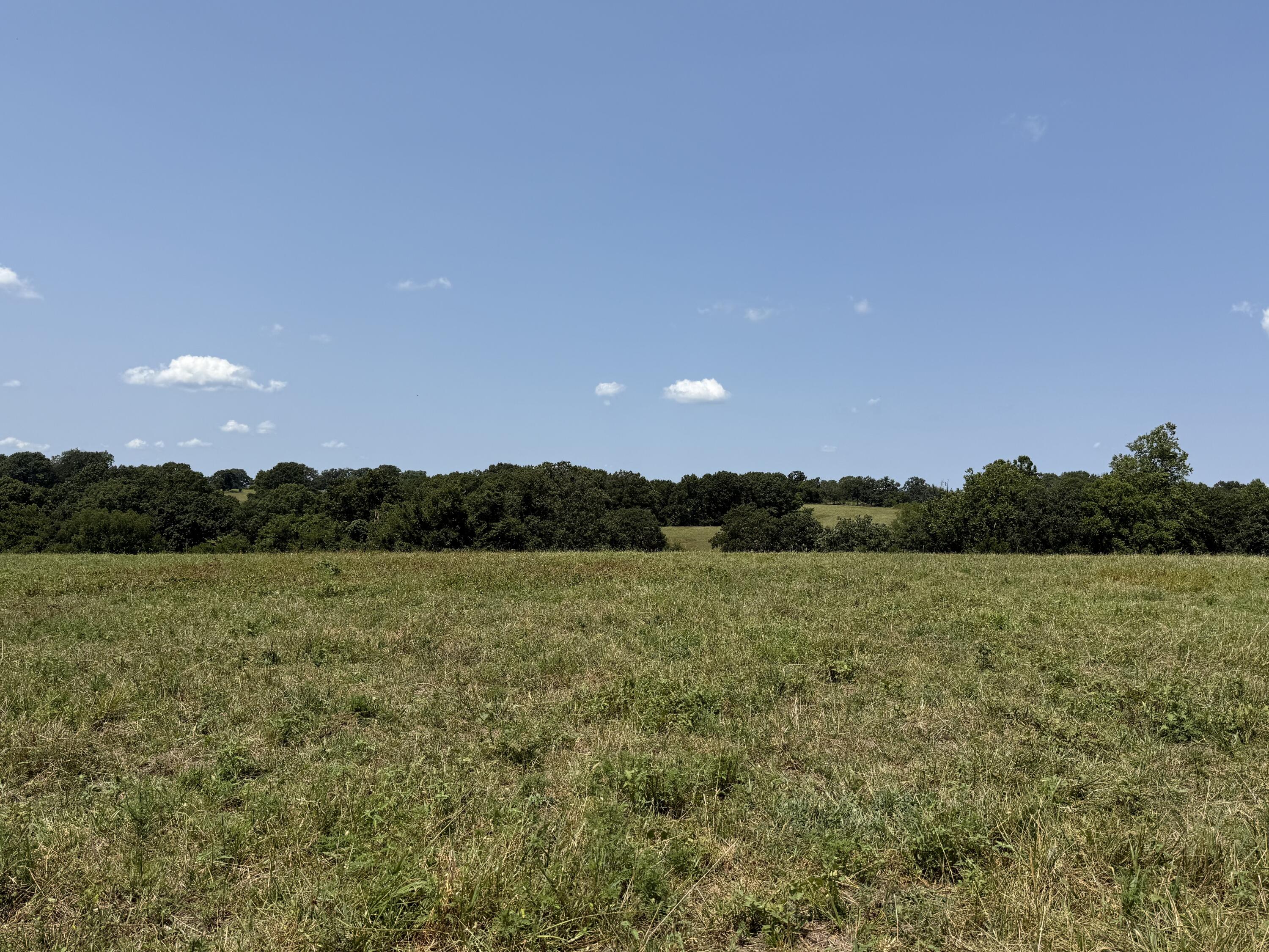 4109 State Highway 90 Property Photo 30