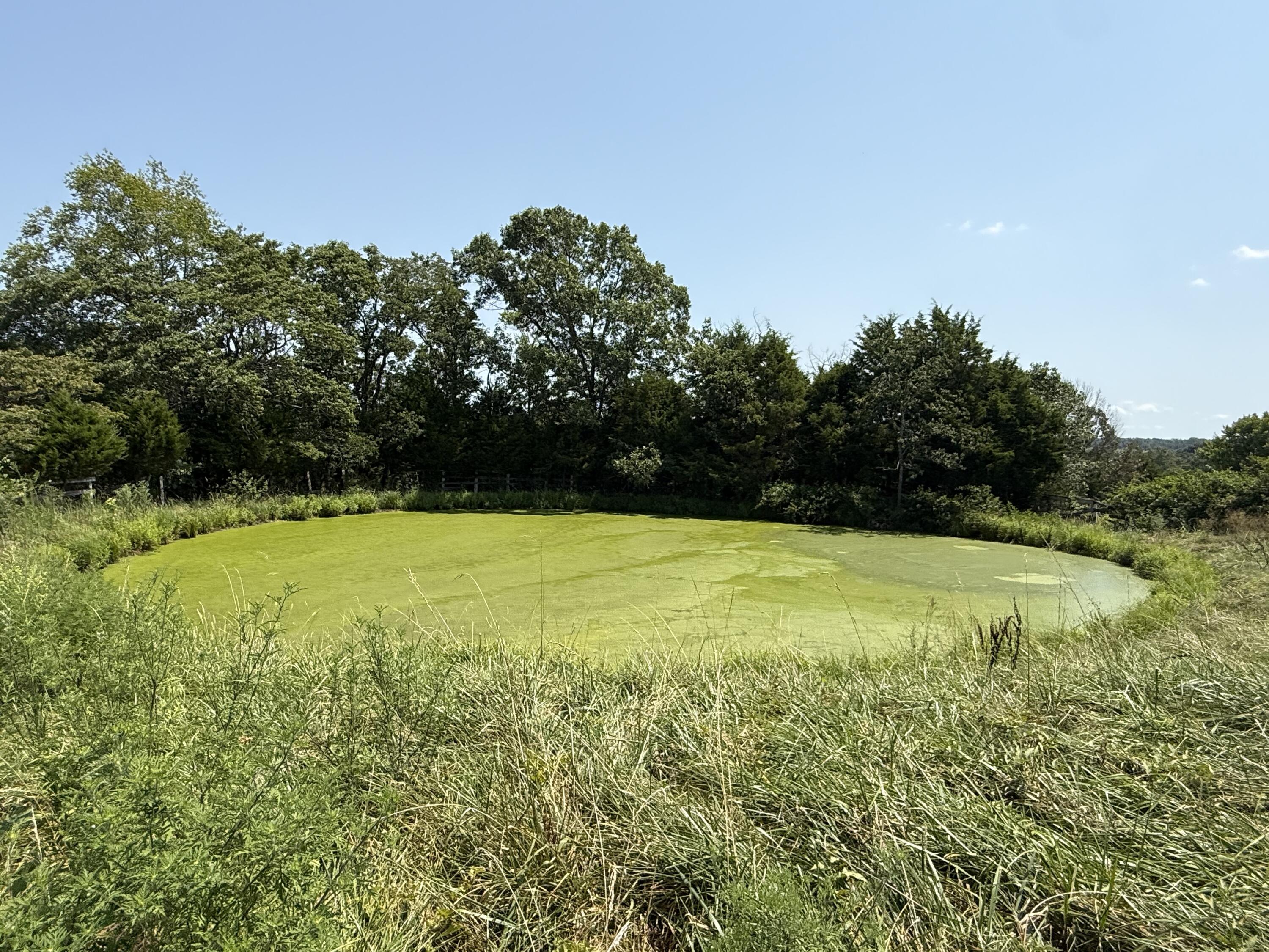 4109 State Highway 90 Property Photo 32