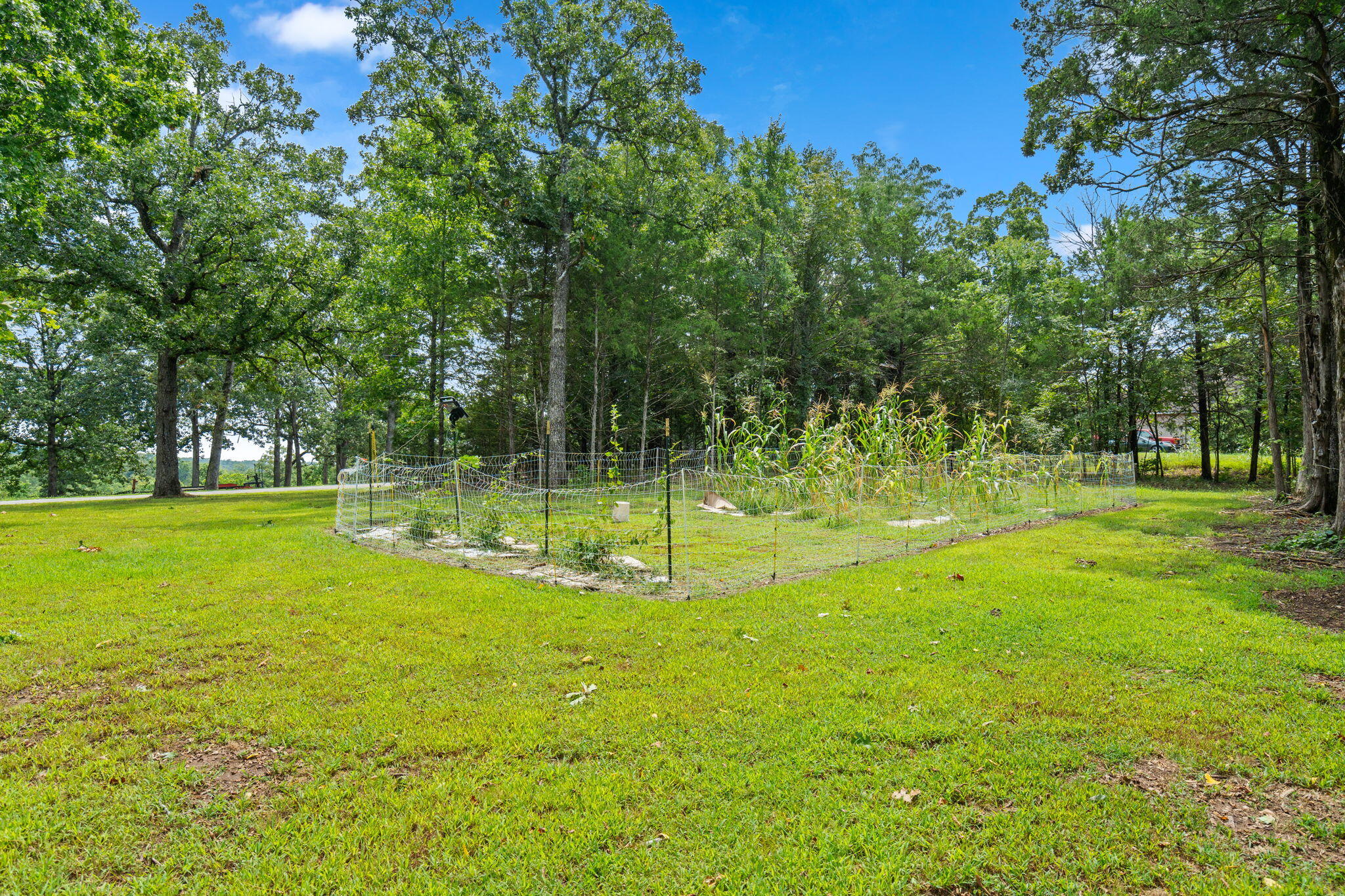 1270 Frisco Hills Road Property Photo 13