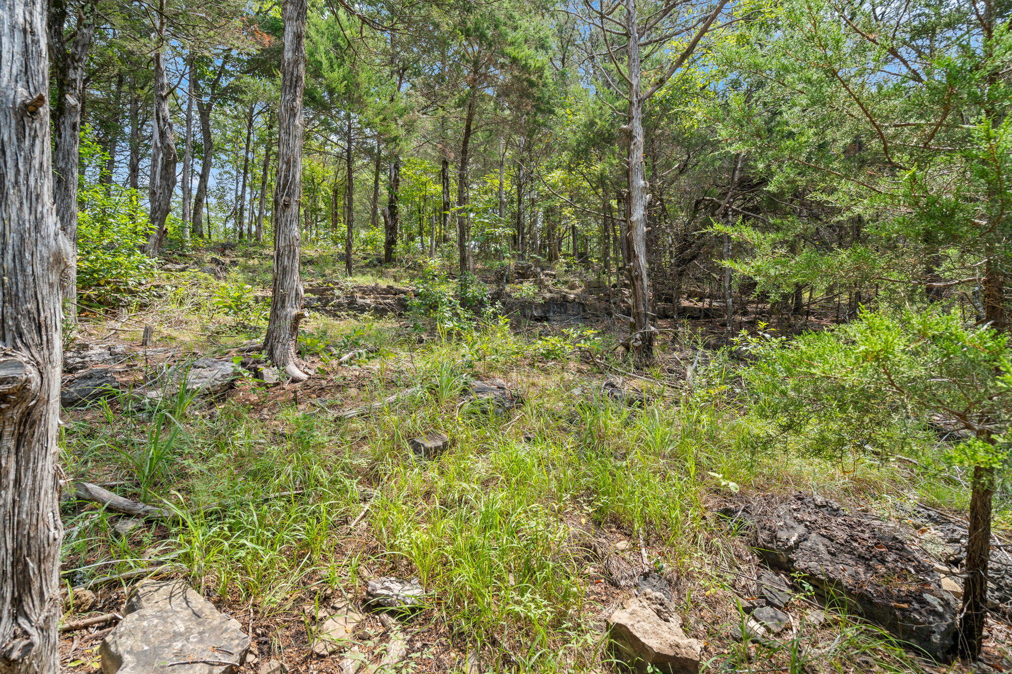 1270 Frisco Hills Road Property Photo 16
