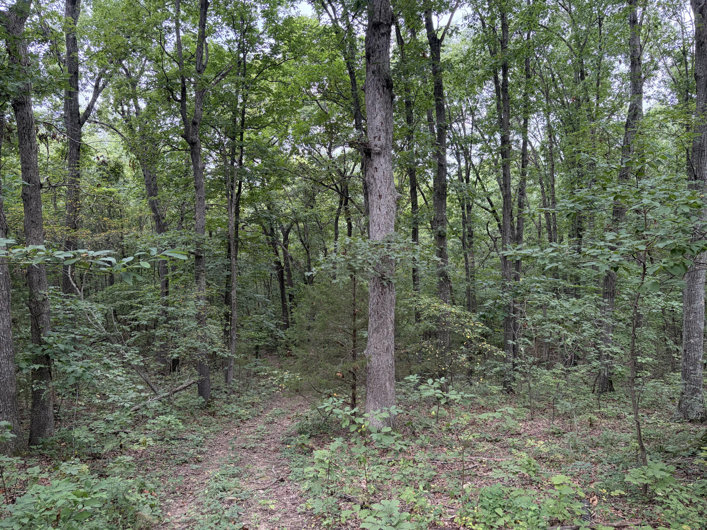 517 County Road 171 Property Photo 20