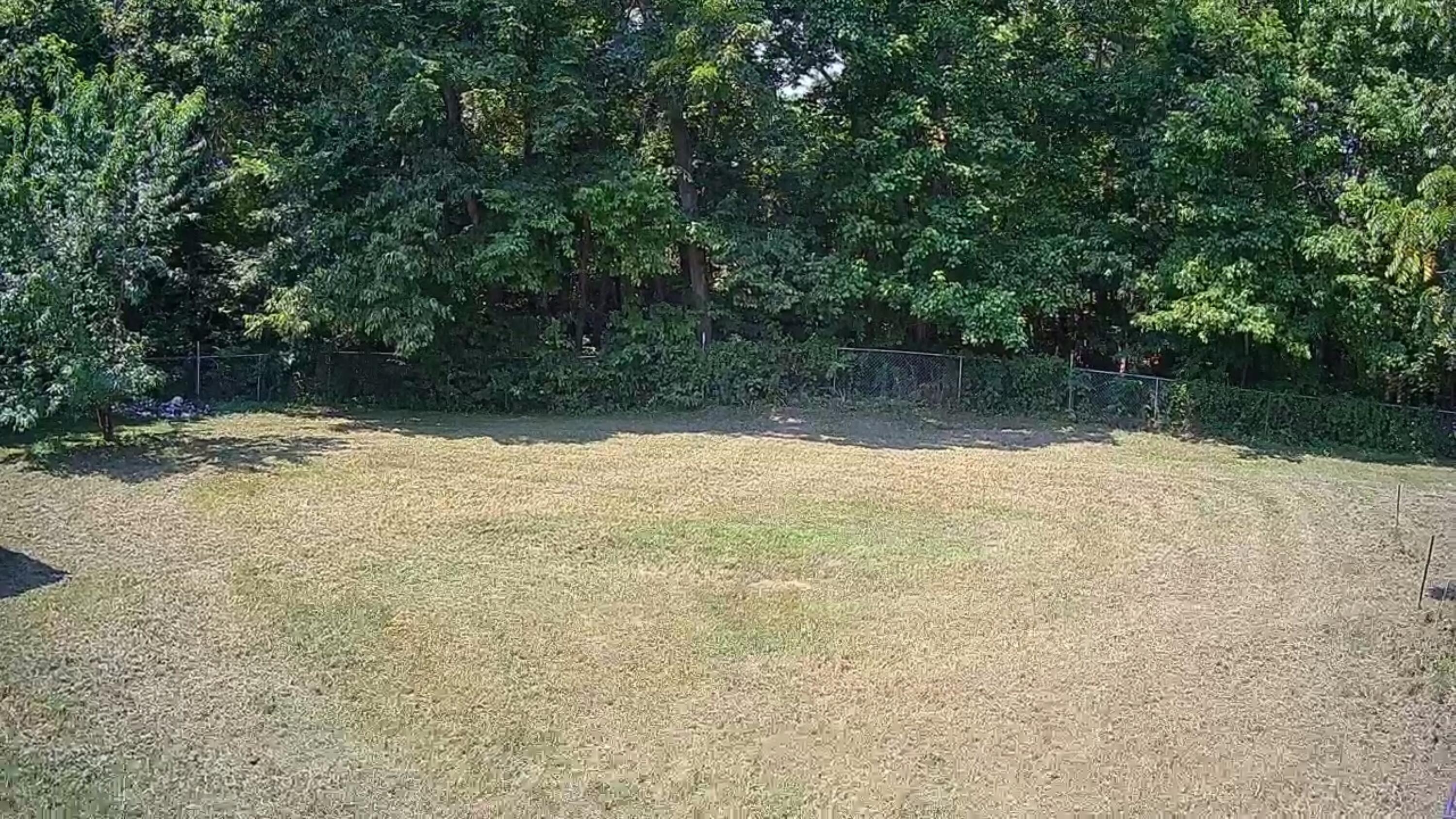 54 Tiny Pine Lane Property Photo 17