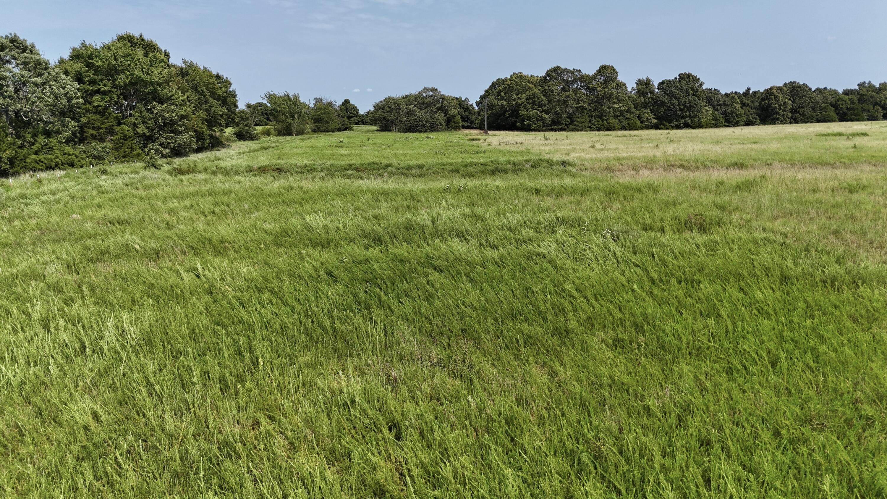 0 Highway Z Property Photo 3