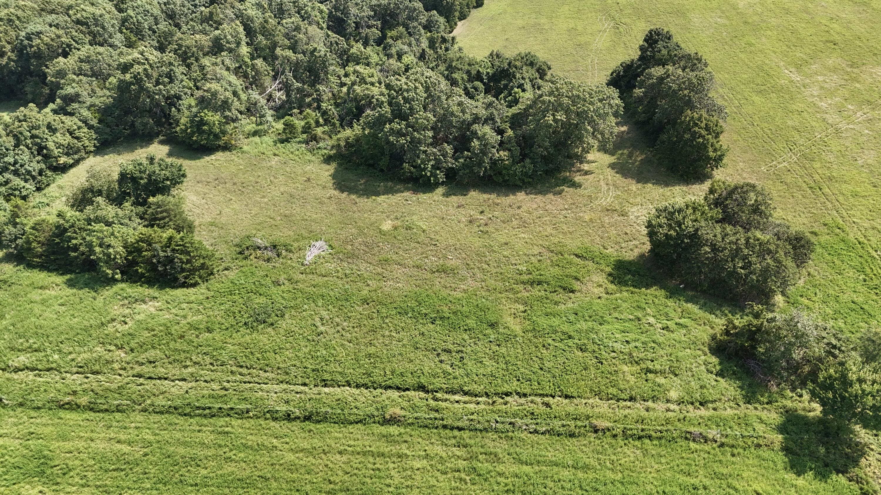 0 Highway Z Property Photo 6