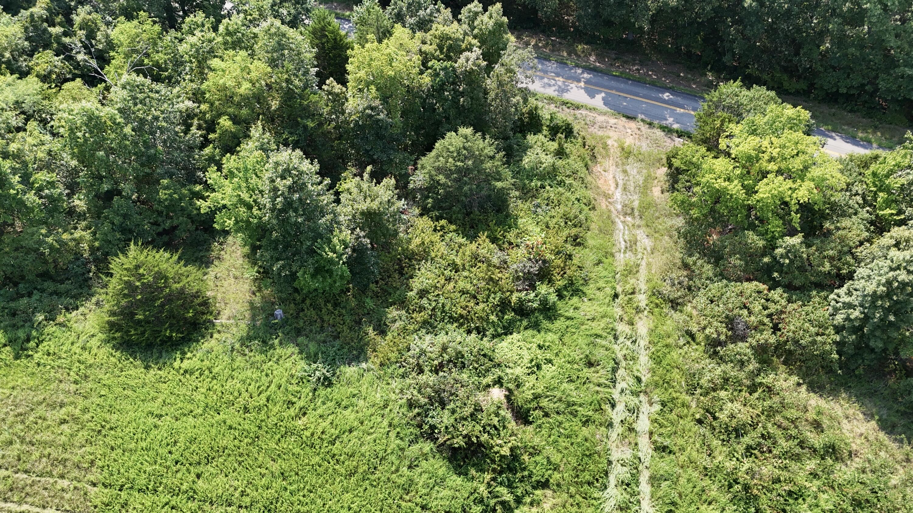 0 Highway Z Property Photo 14