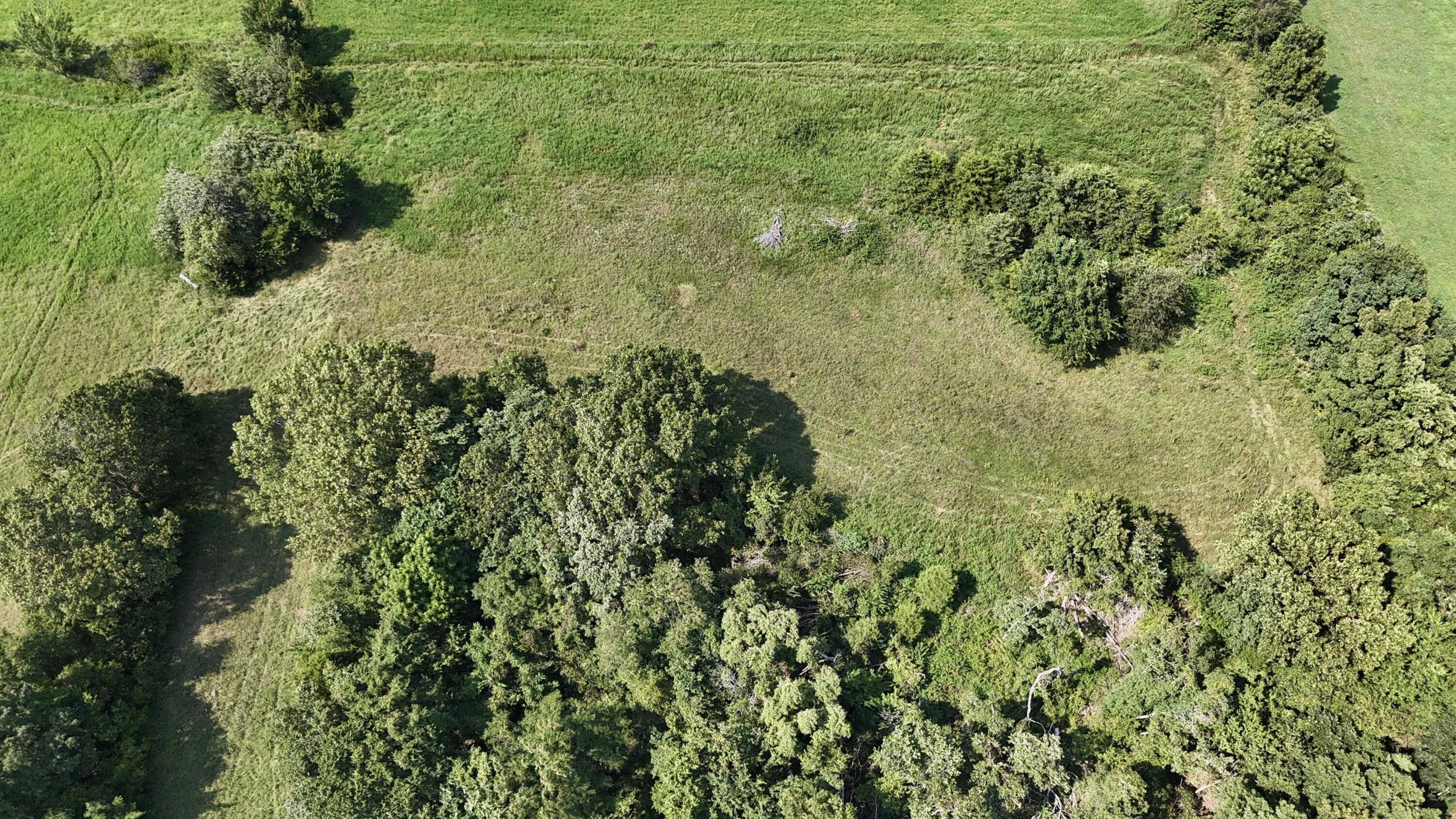 0 Highway Z Property Photo 17