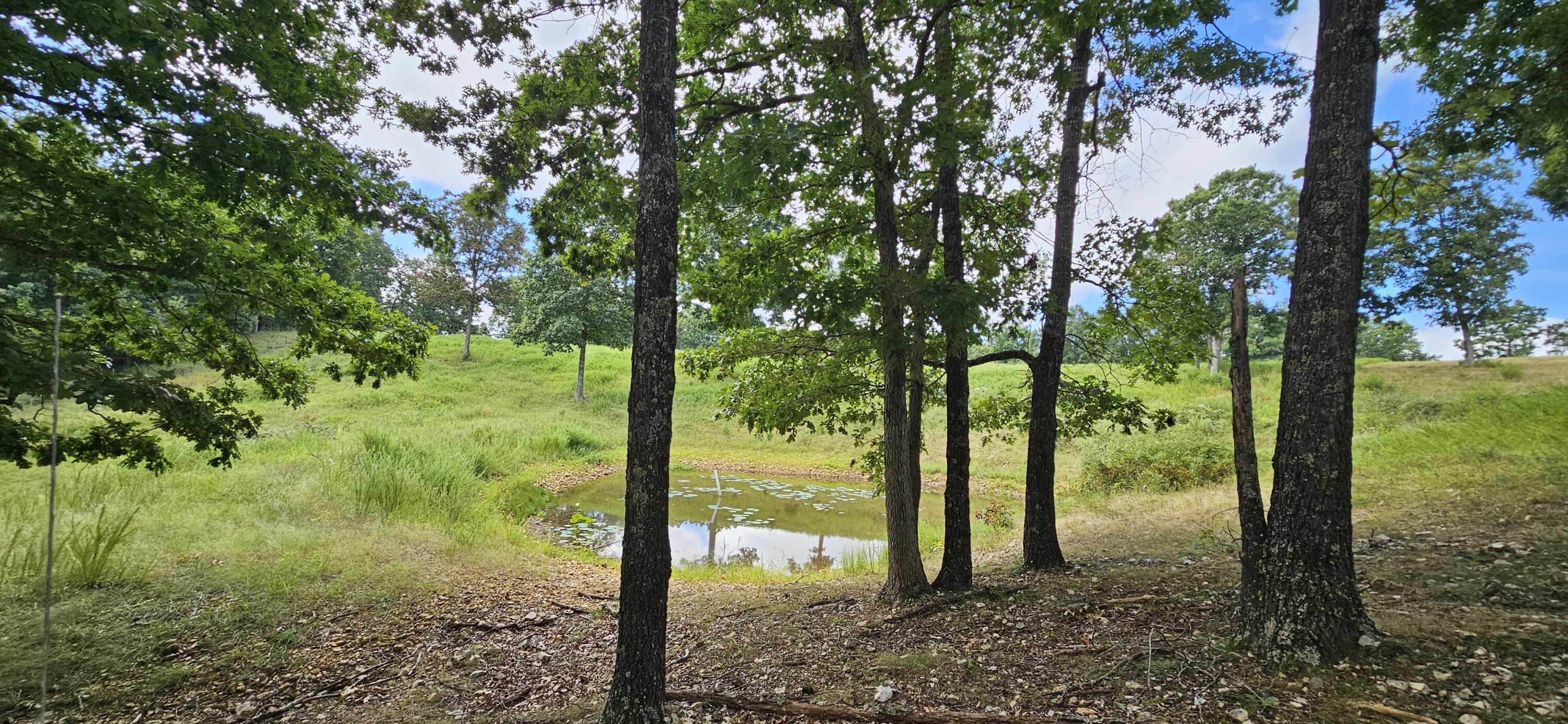 2378 State Highway Ab Property Photo 55