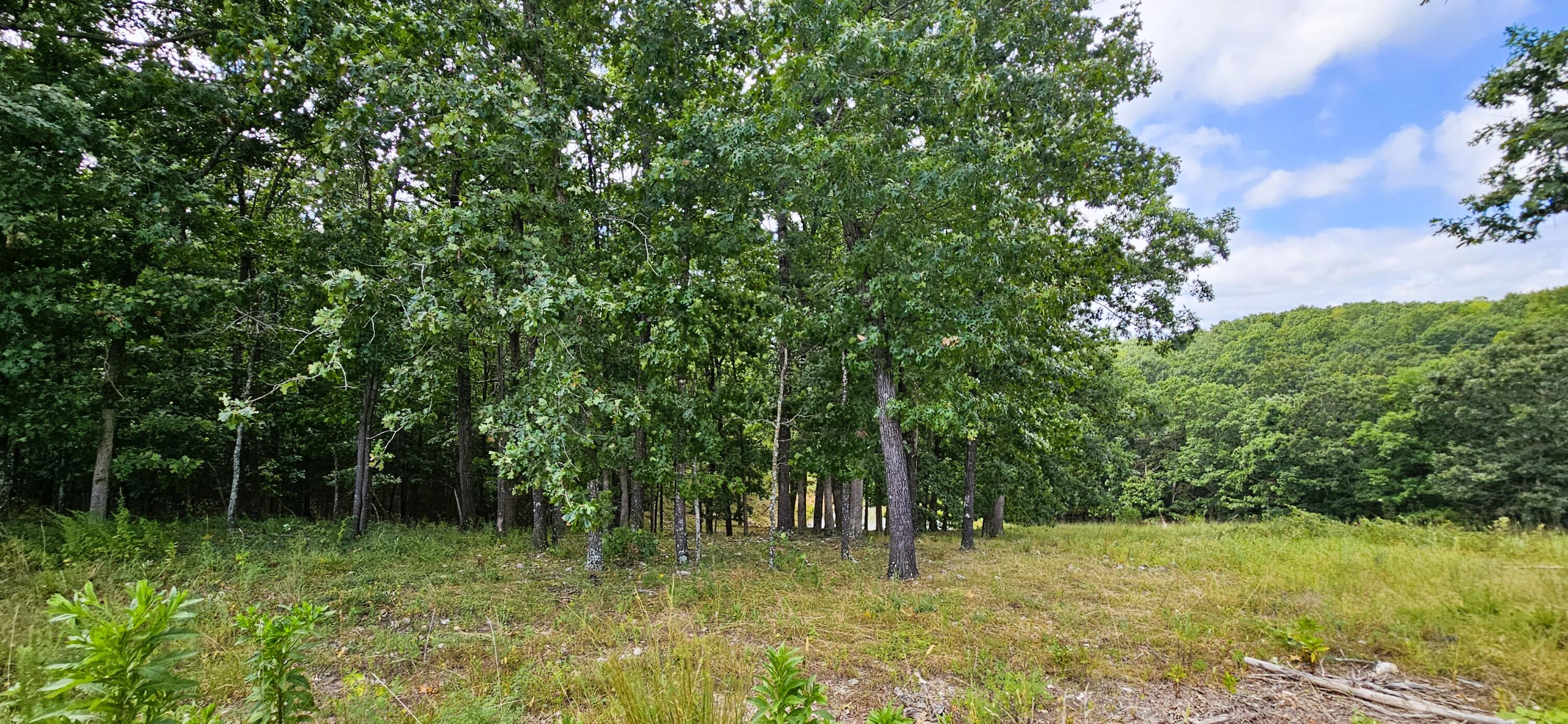 2378 State Highway Ab Property Photo 62