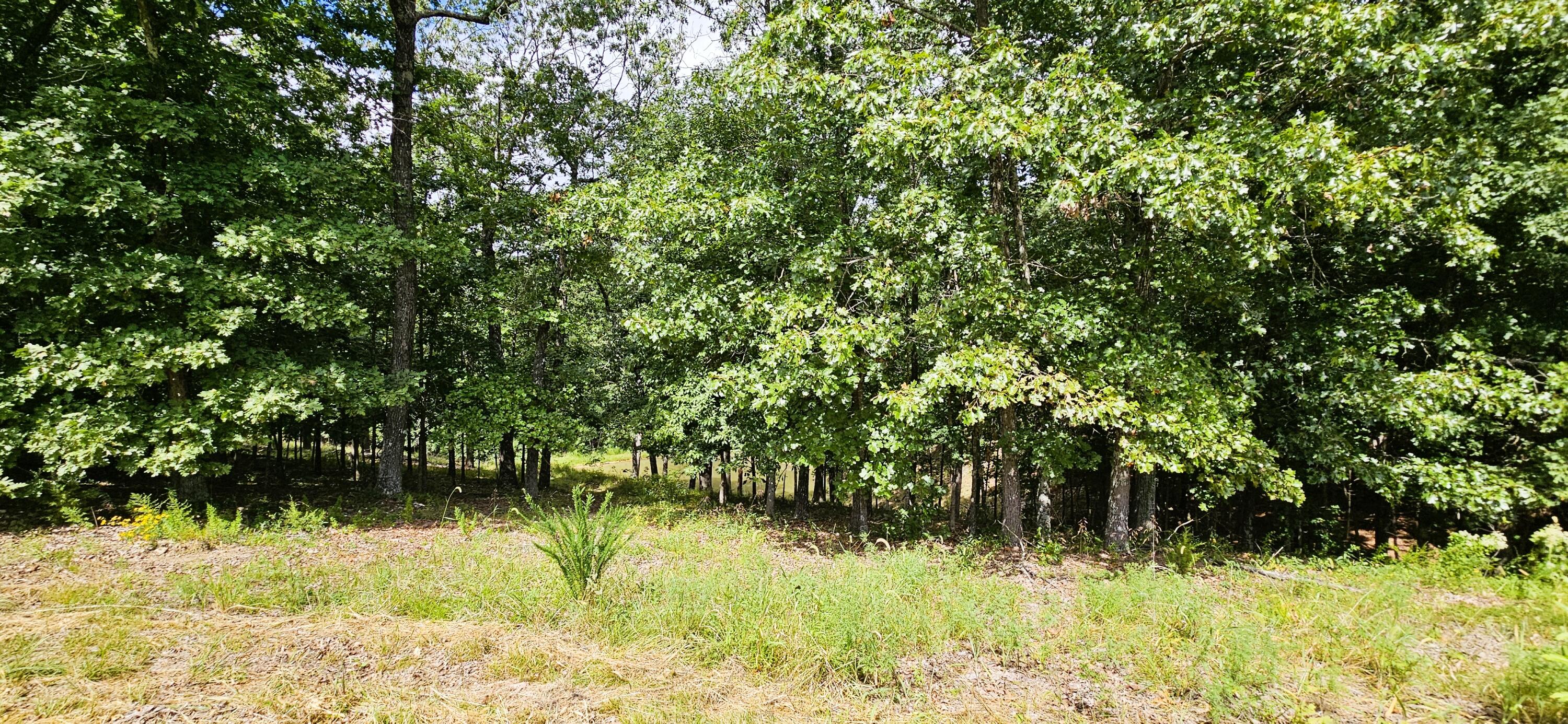 2378 State Highway Ab Property Photo 63