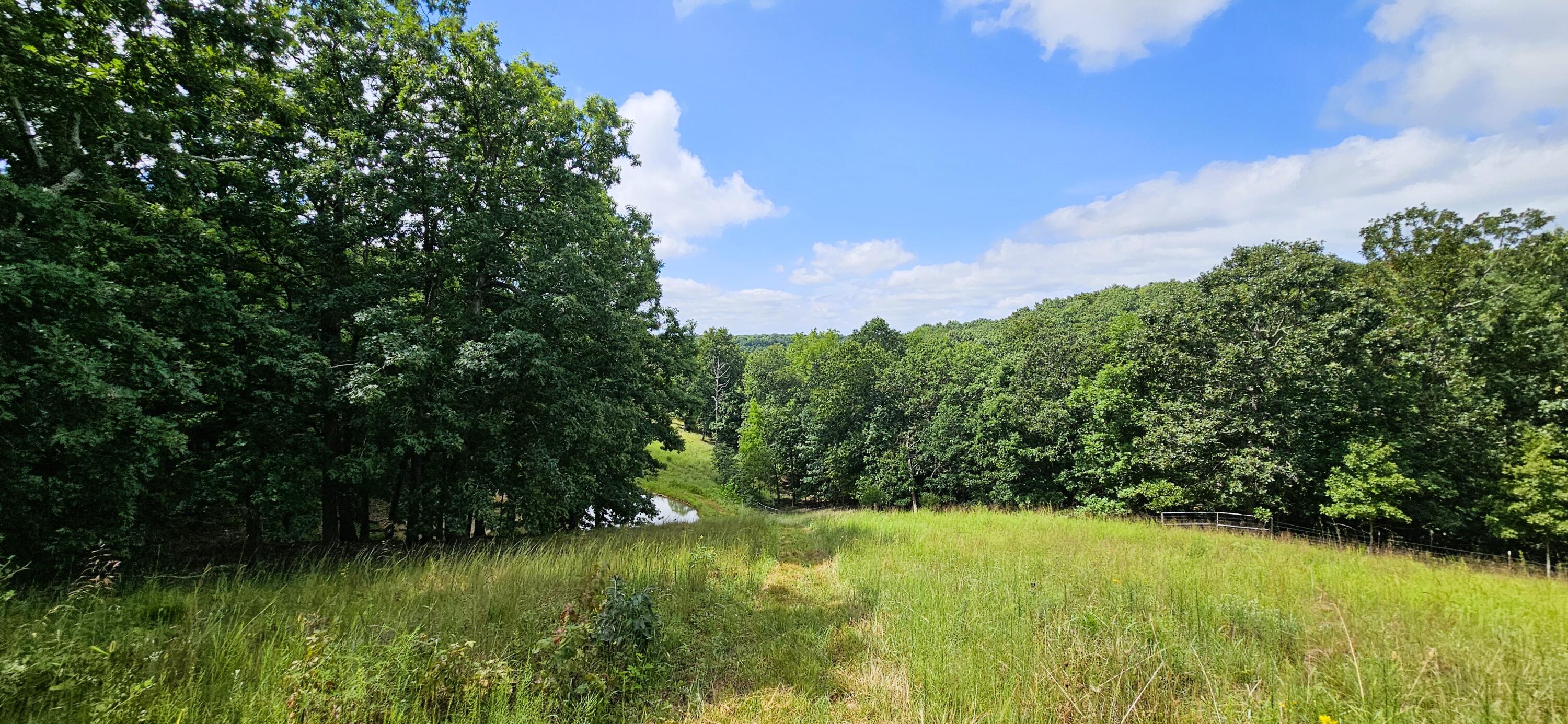 2378 State Highway Ab Property Photo 64