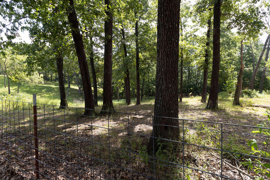 2378 State Highway Ab Property Photo 45