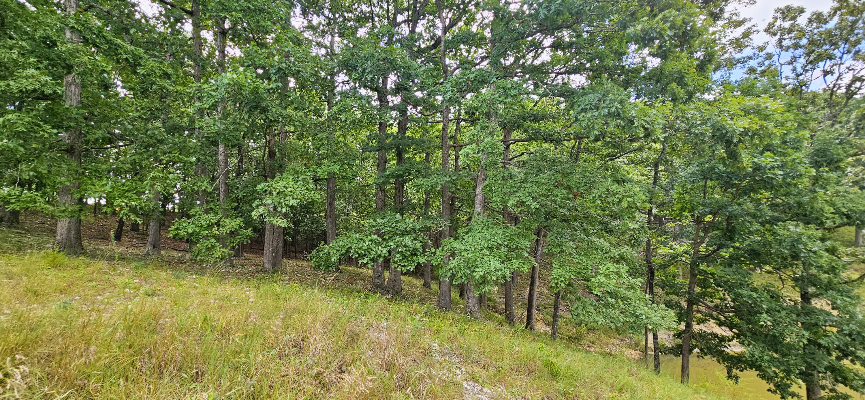 2378 State Highway Ab Property Photo 64